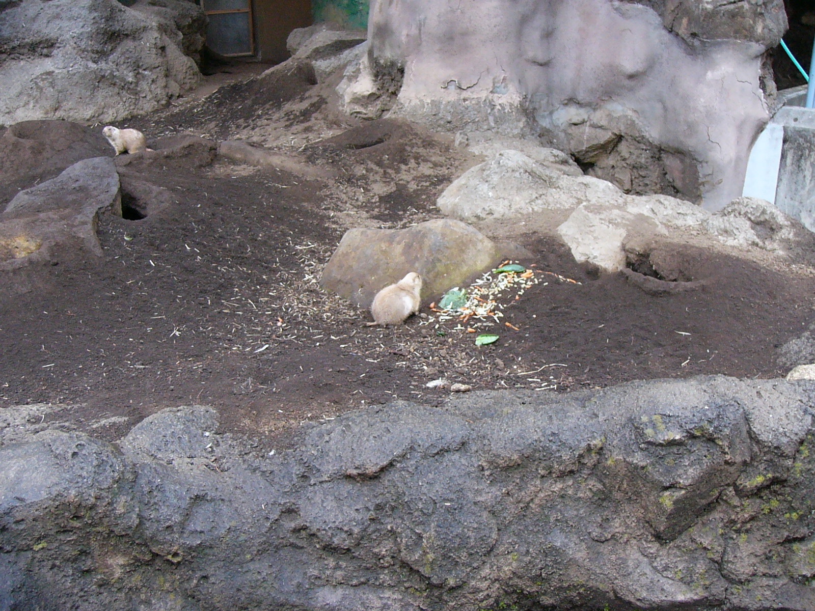 広角端（35mm相当）