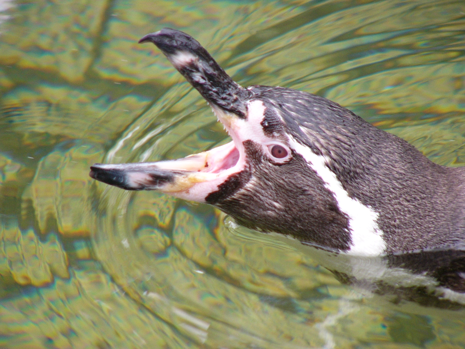 ISO100 / F2.8 / 1/60秒 / ±0EV / 55.2mm