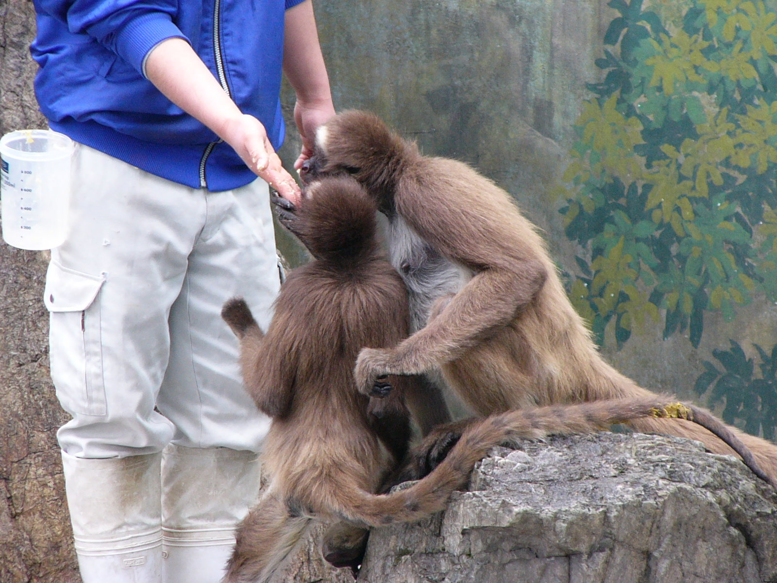 ISO150 / F2.8 / 1/60秒 / ±0EV / 33.3mm