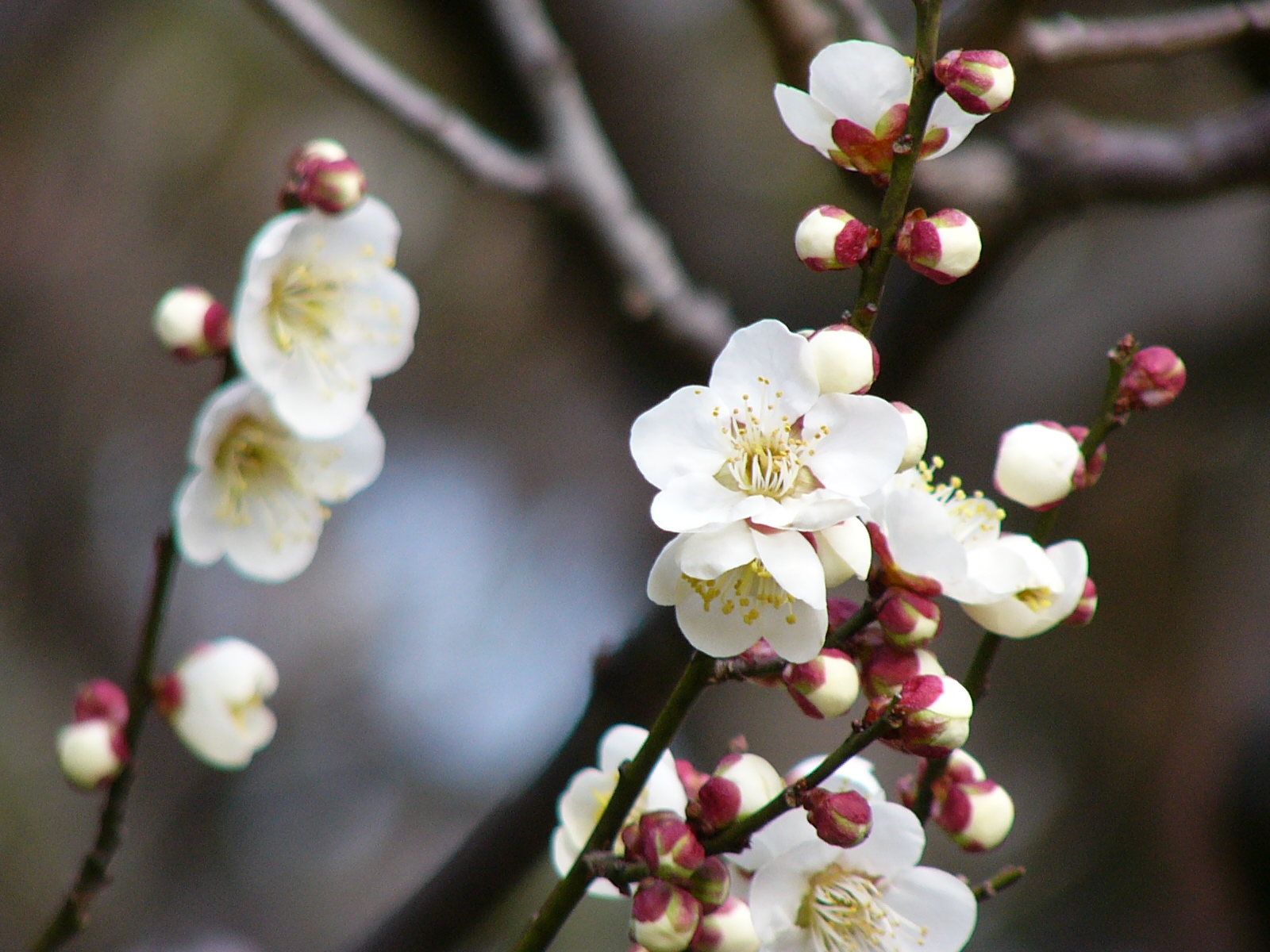 ISO100 / F2.8 / 1/400秒 / -0.7EV / 55.2mm