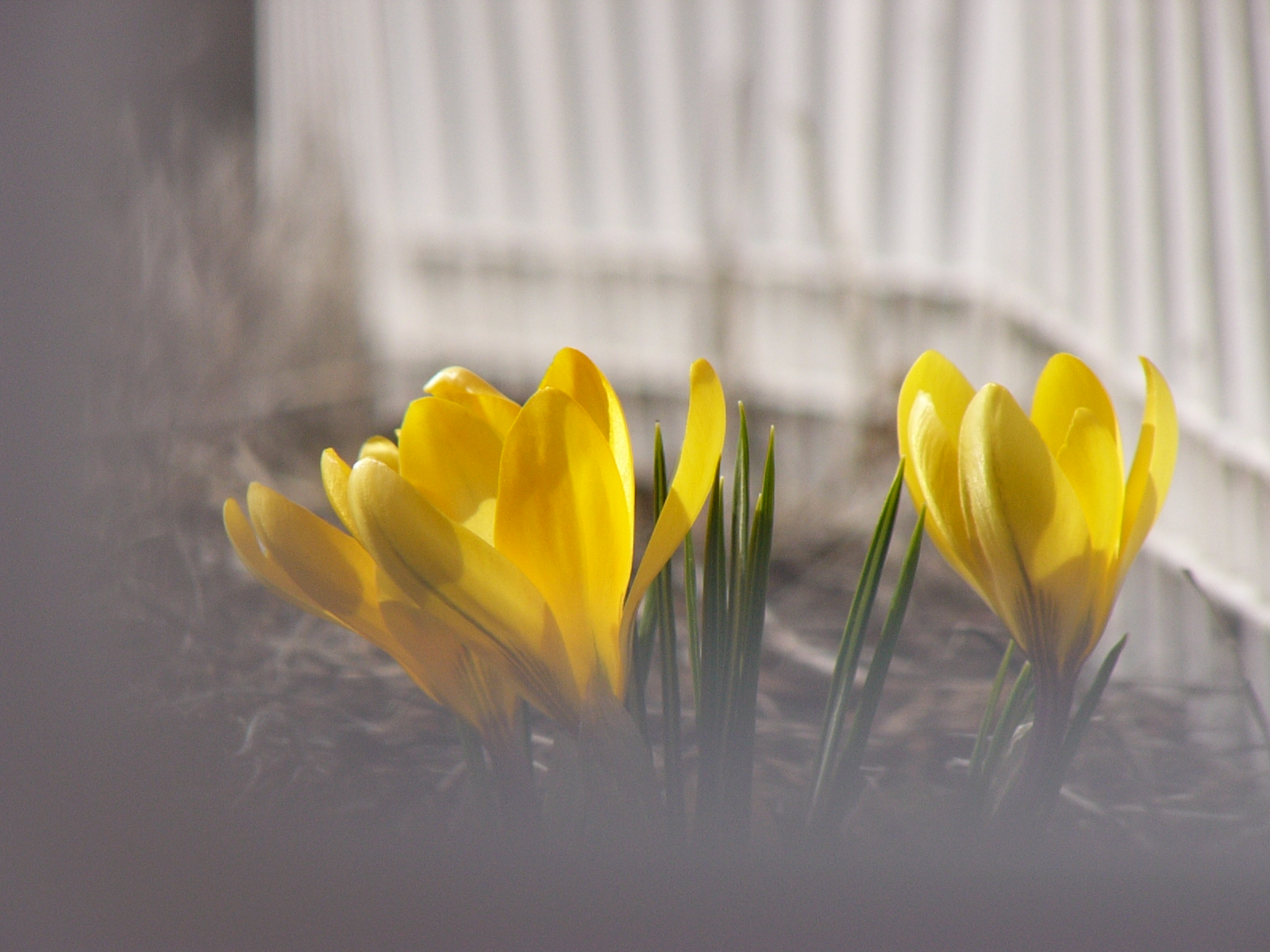 ISO50 / F5.6 / 1/500秒 / ±0EV / 55.2mm