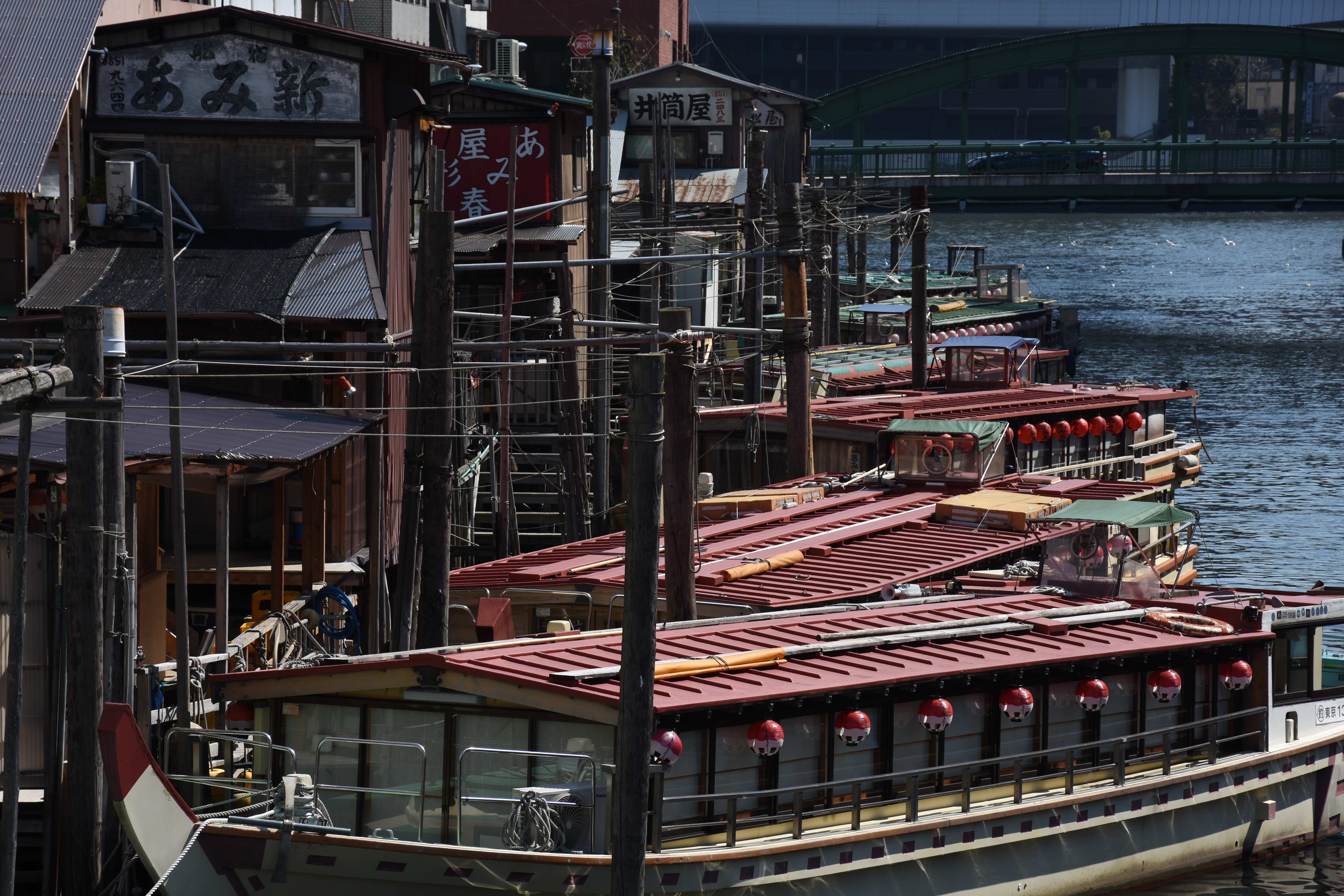 AF-S DX NIKKOR 18-140mmF3.5-5.6G ED VR / ISO100 / F8 / 1/320秒 / -0.3EV / 90mm