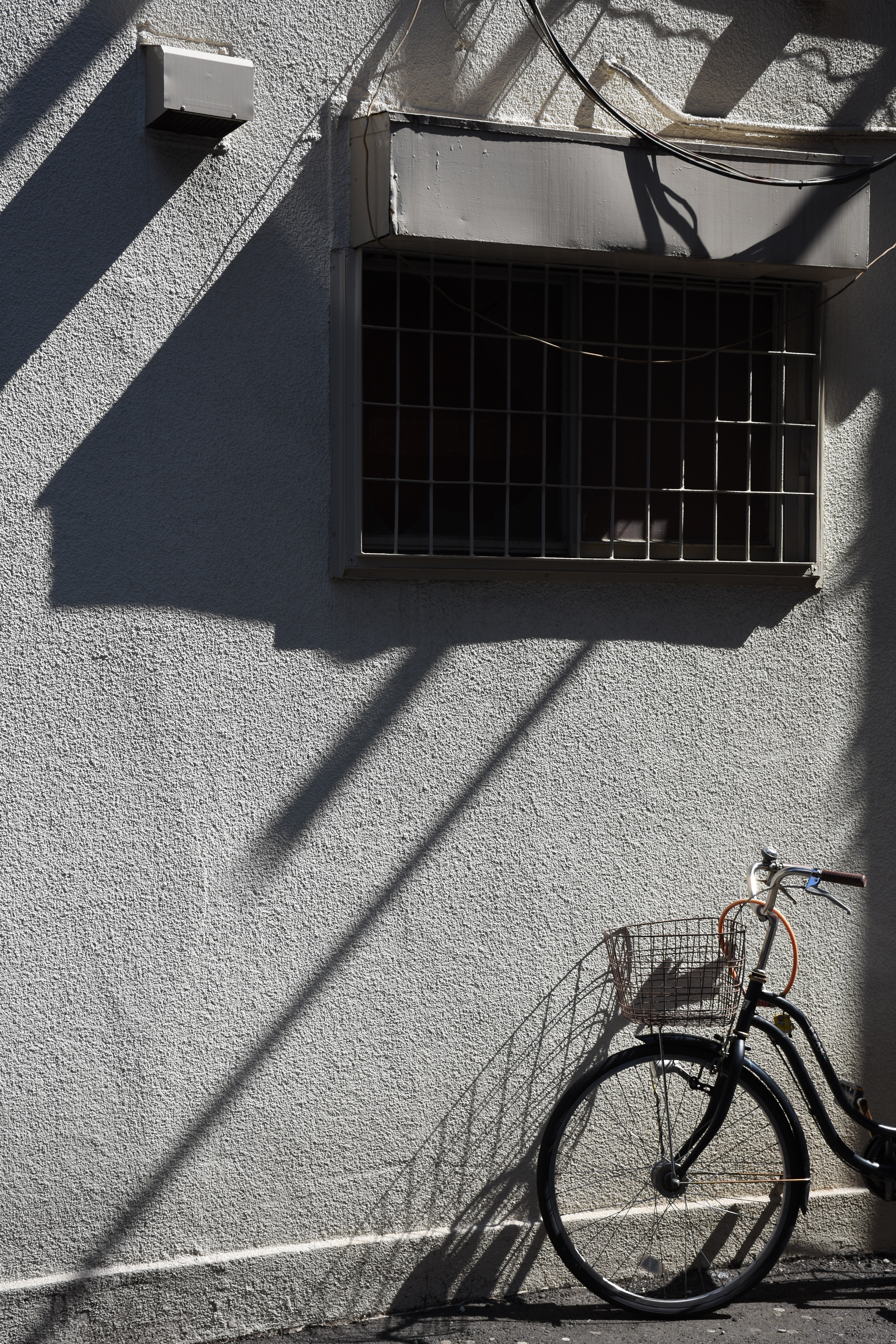 AF-S DX NIKKOR 18-140mmF3.5-5.6G ED VR / ISO100 / F5.6 / 1/320秒 / +0.3EV / 40mm