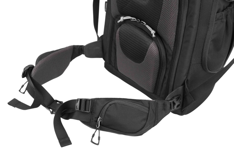 ウェストベルト