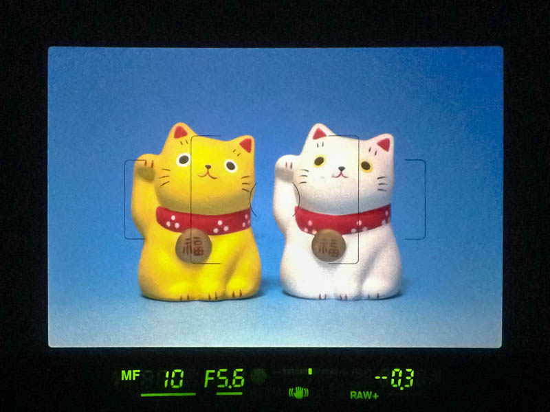 光学ファインダー内の表示。下段には、左右方向の傾きをチェックするための電子水準器を表示できる。また、フォーカシングスクリーンの交換にも対応する