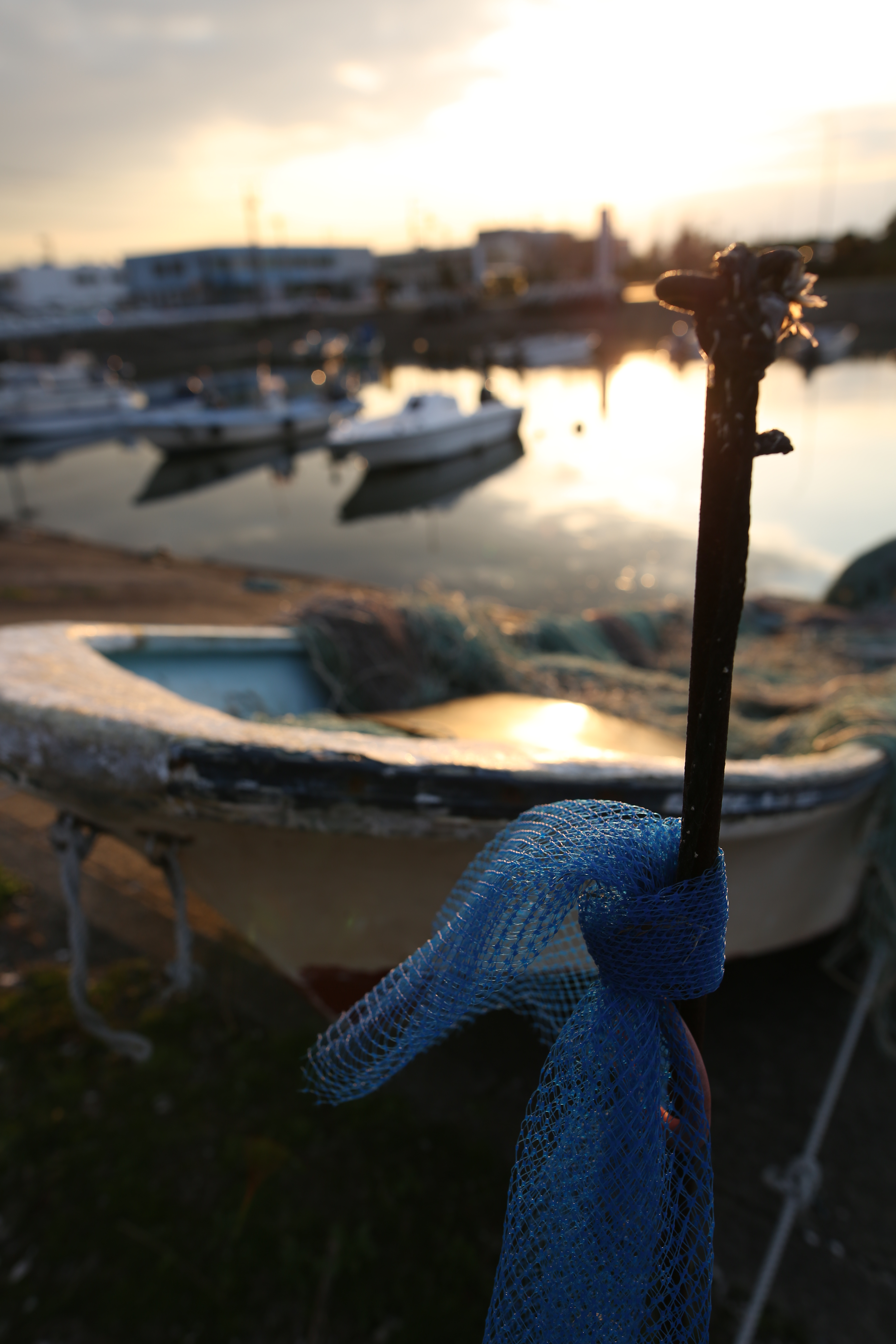 絞りF4・距離数mで撮影。EOS 5D Mark III / 1/250秒 / F4 / +0.7EV / ISO100 / 絞り優先AE / 24mm