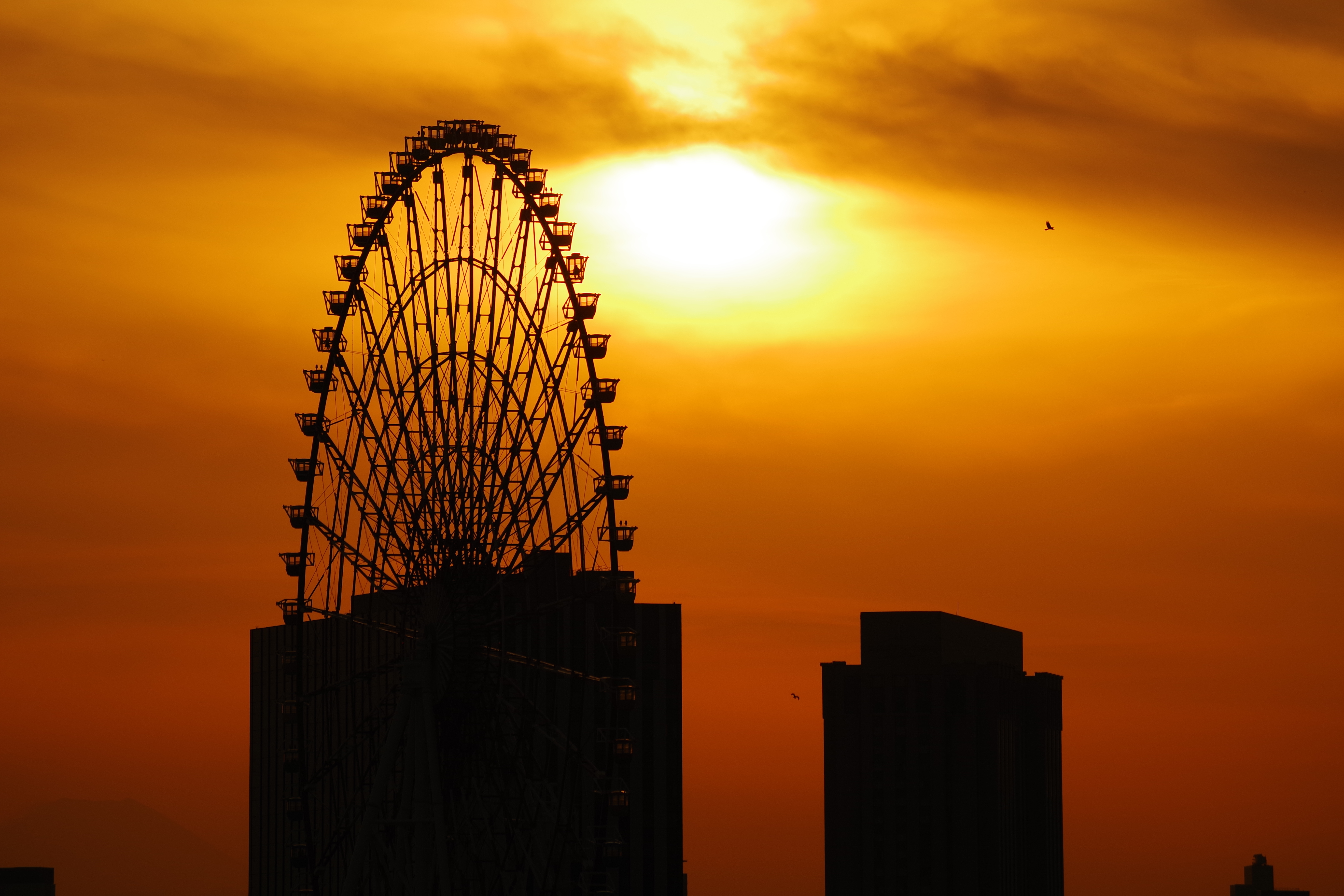 DA L 50-200mm F4-5.6 ED WR / ISO100 / F8 / 1/1,250秒 / ±0EV / 200mm