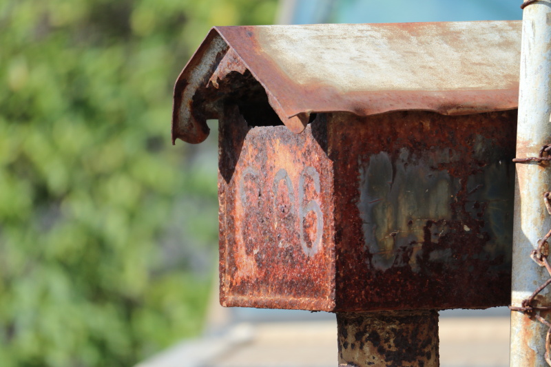 EF-M55-200mm F4.5-6.3 IS STMの望遠端200mmで被写体から離れて撮影すると、開放F値がF6.3だがこれだけぼかすことができる。圧縮効果で背景もすっきりした