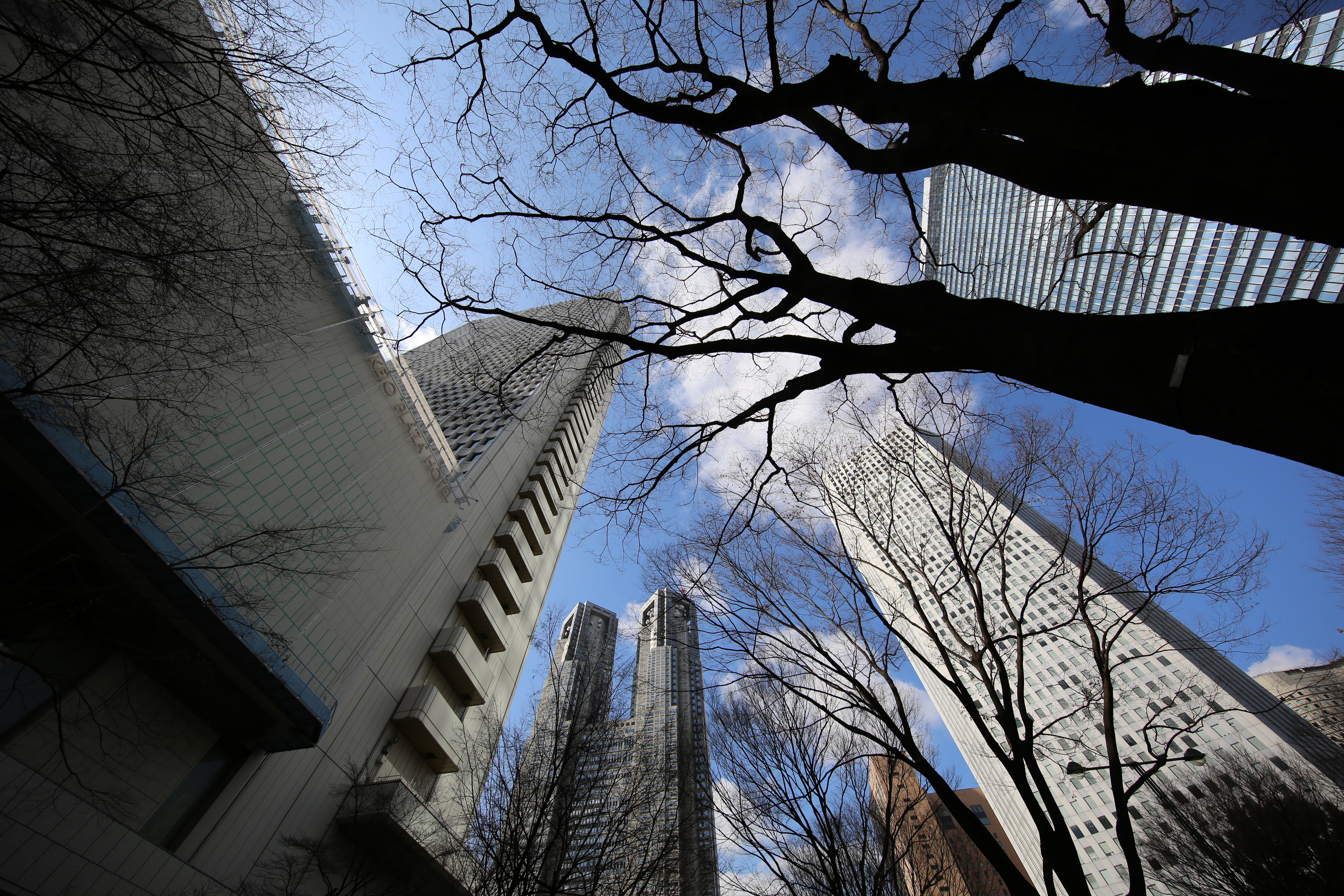 EOS 5D Mark III / 1/640秒 / F5.6 / +0.3EV / ISO100 / 絞り優先AE / 11mm