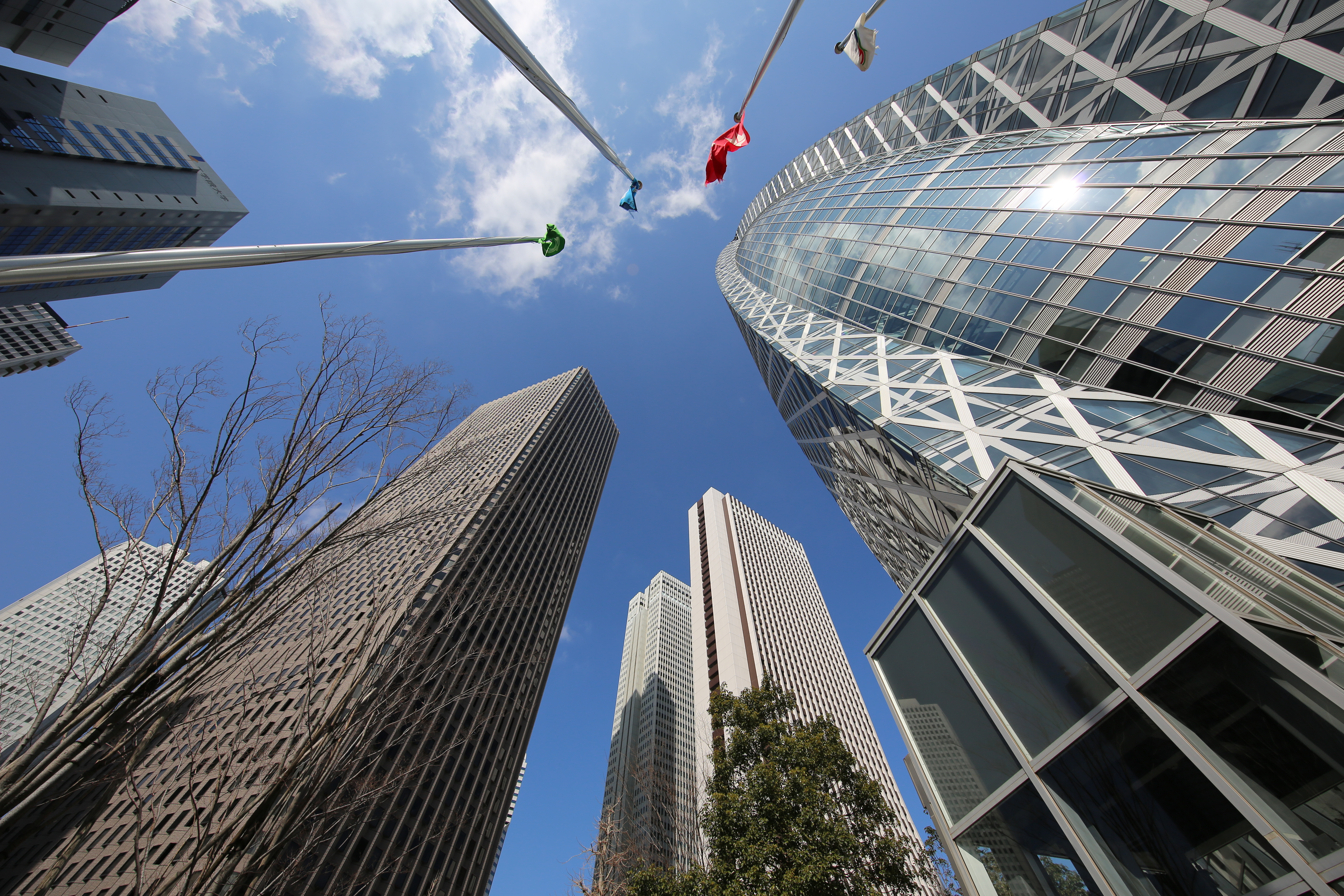 EOS 5D Mark III / 1/500秒 / F8 / 0EV / ISO100 / 絞り優先AE / 11mm