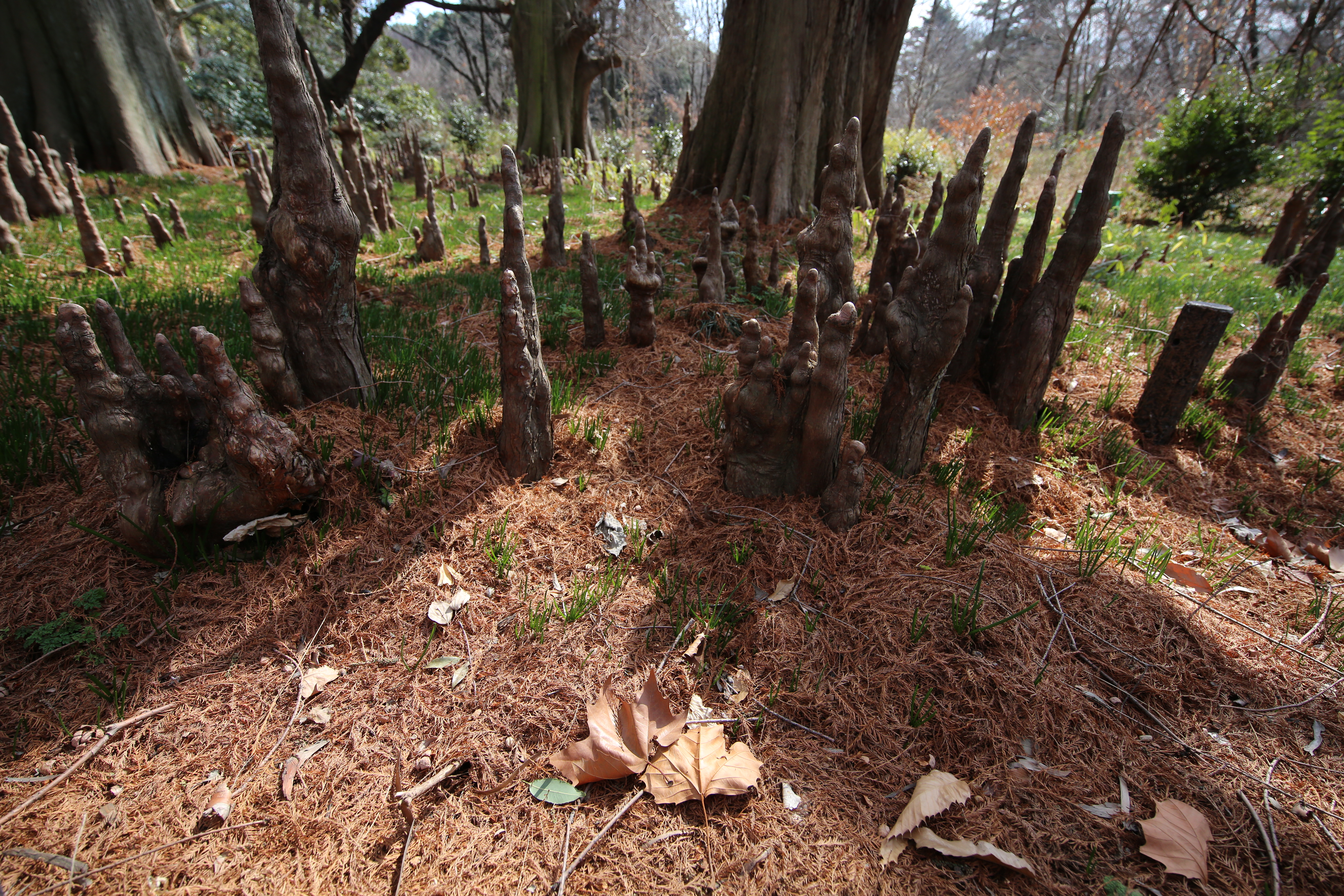 EOS 5D Mark III / 1/800秒 / F5 / 0EV / ISO400 / 絞り優先AE / 15mm
