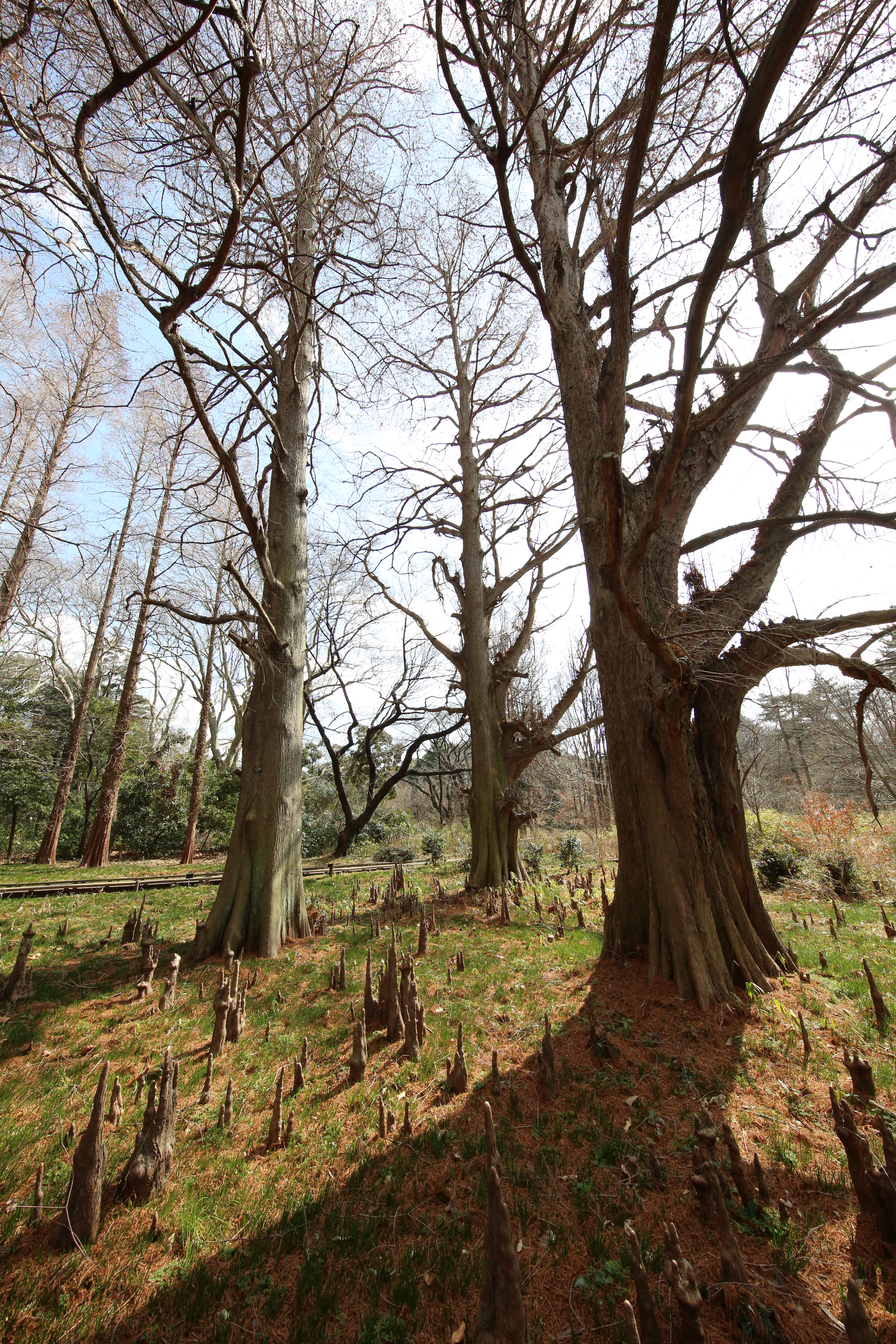 EOS 5D Mark III / 1/320秒 / F11 / 0EV / ISO800 / 絞り優先AE / 11mm