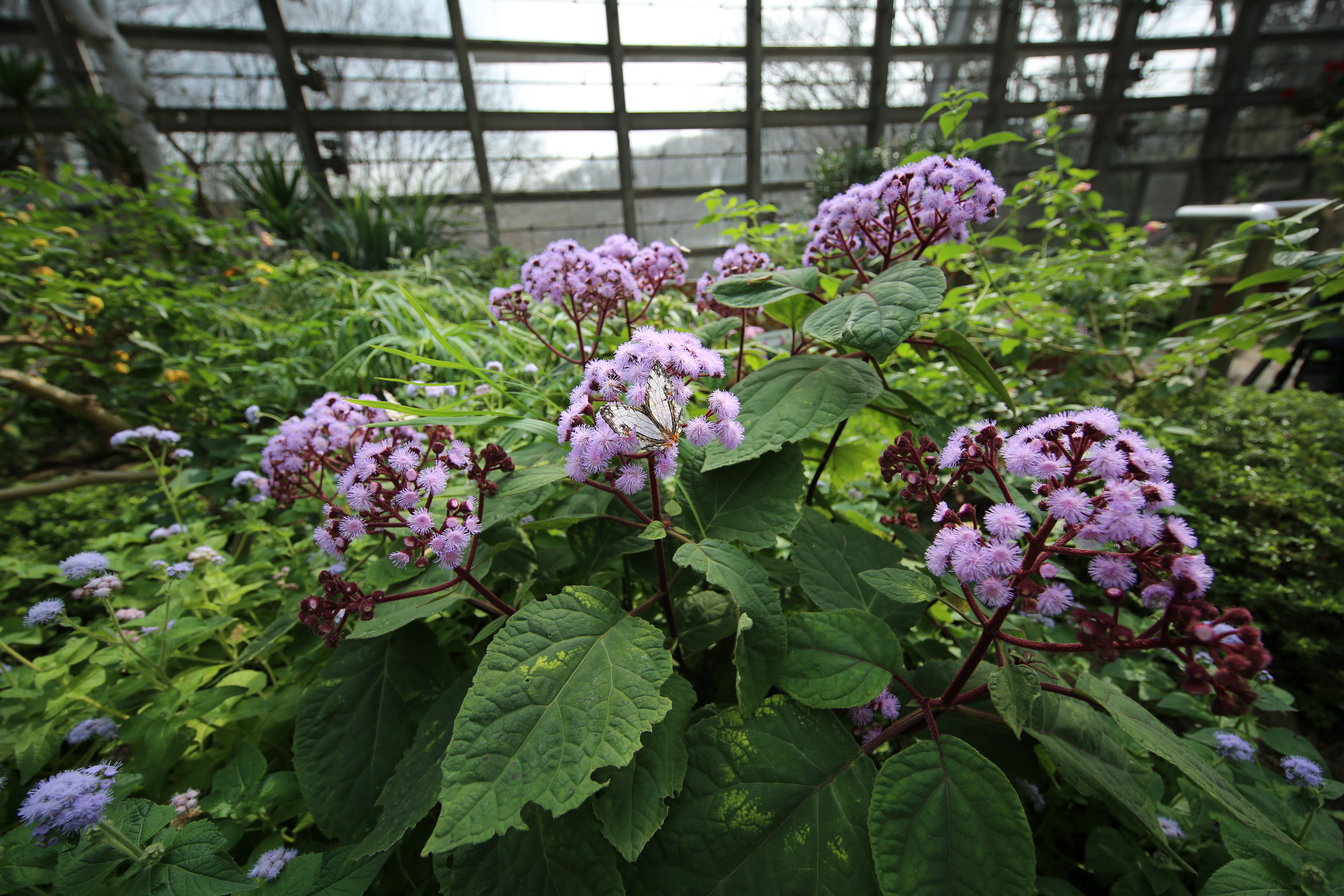 EOS 5D Mark III / 1/320秒 / F4 / +0.3EV / ISO100 / 絞り優先AE / 14mm