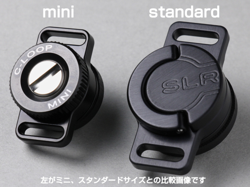 既存のスタンダードサイズとの比較