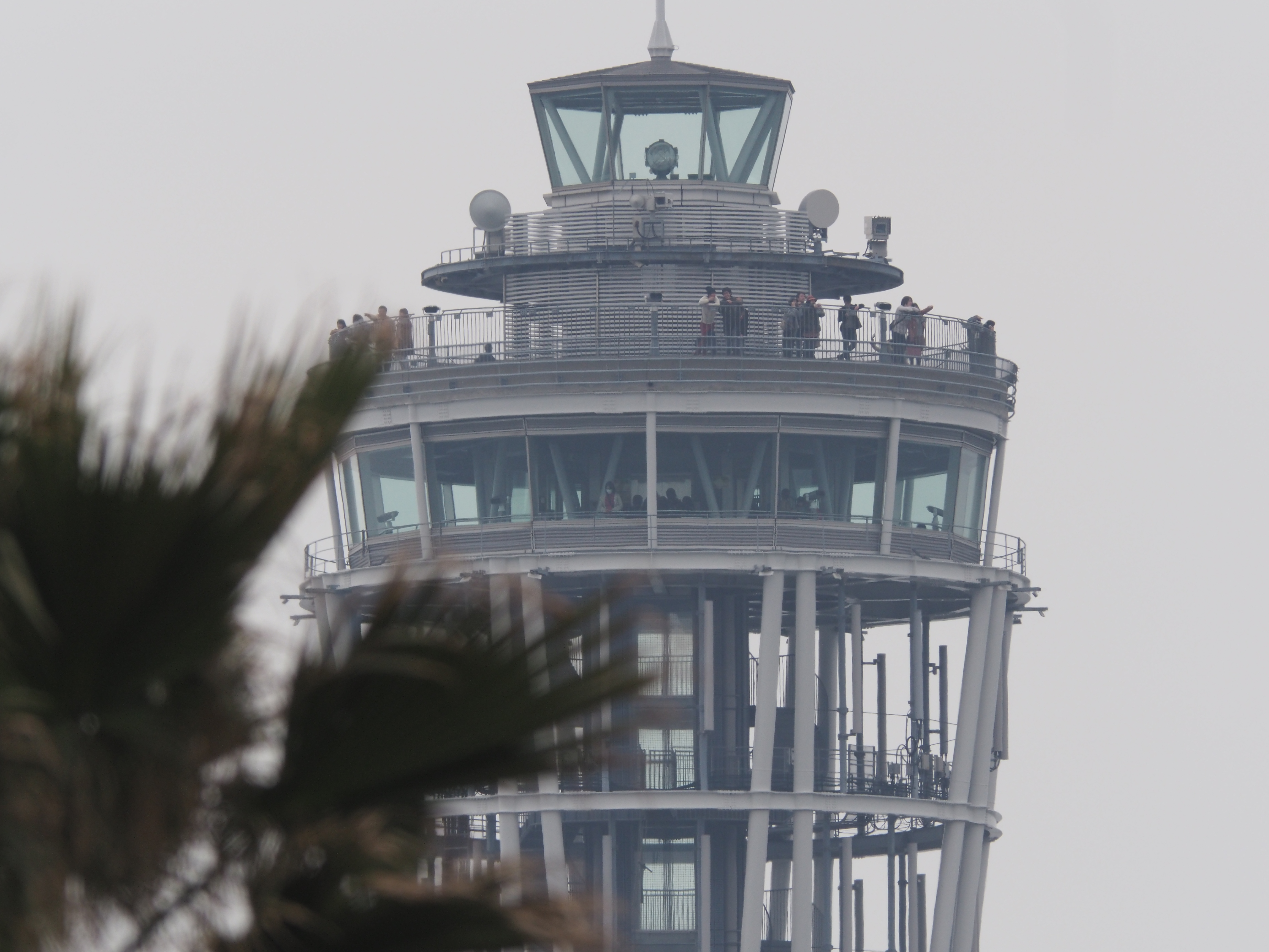 AIR A01 / 1/500秒 / F11 / 0EV / ISO400 / 絞り優先AE / 600mm （1,200mm相当）