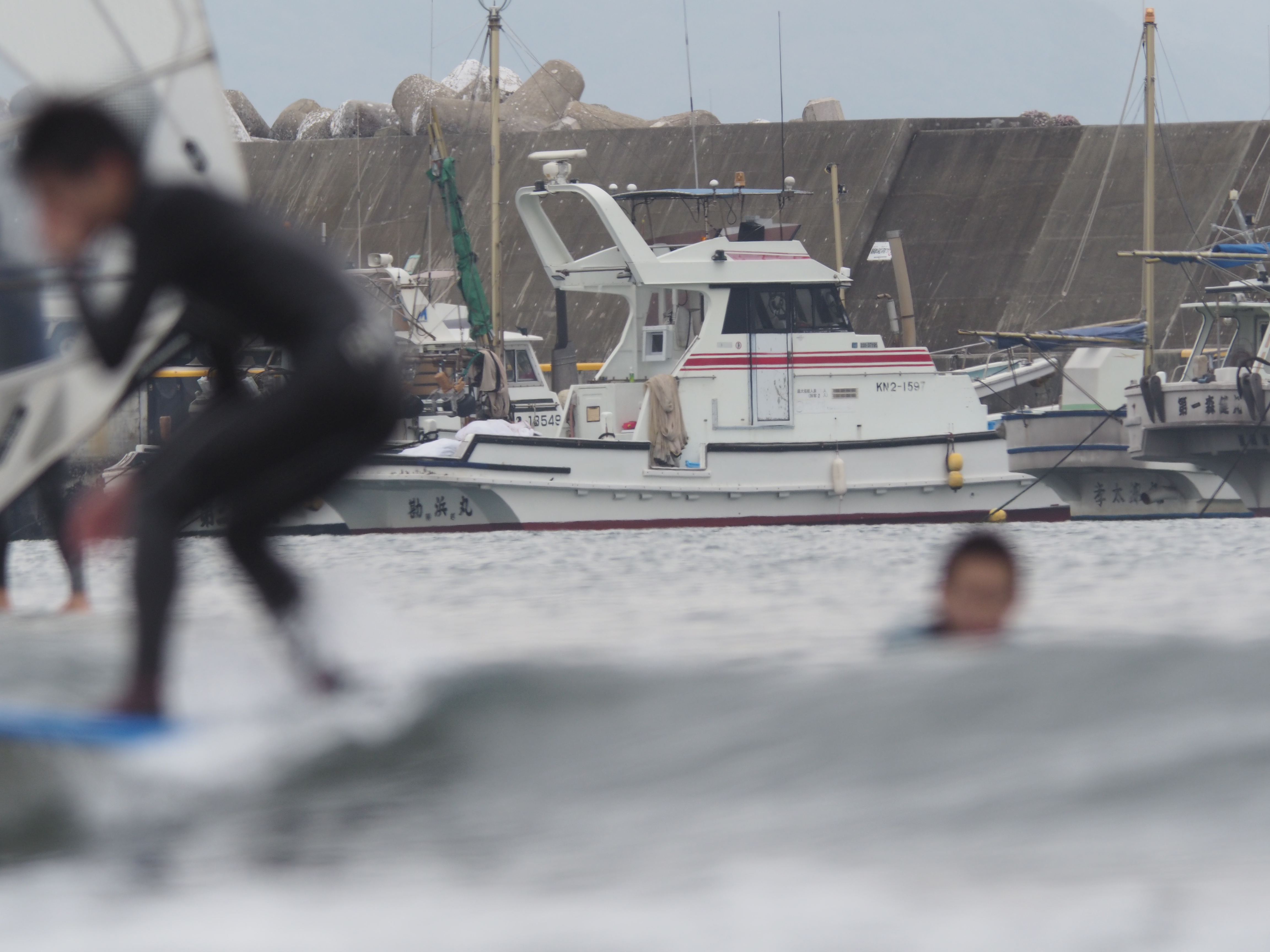 AIR A01 / 1/500秒 / F8 / 0EV / ISO320 / 絞り優先AE / 600mm