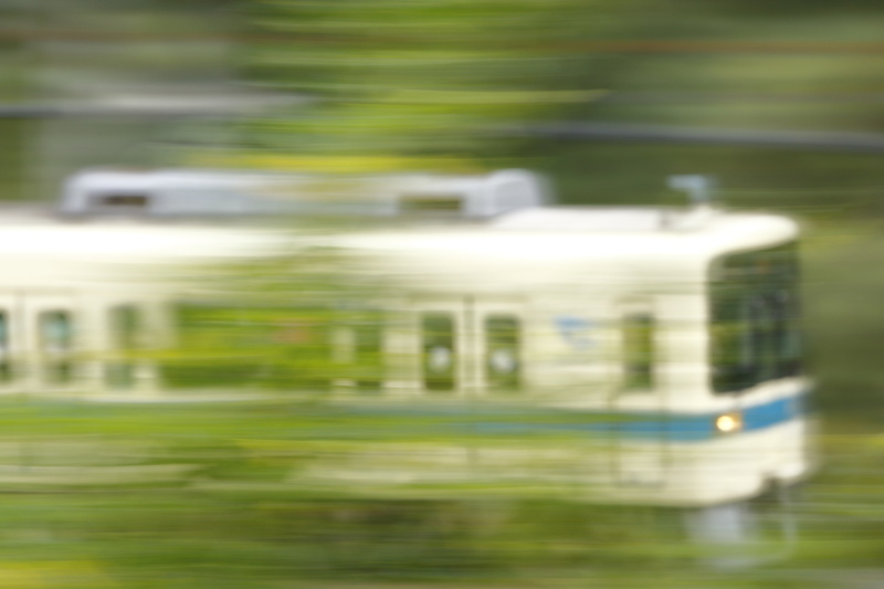 200mm（320mm相当）/ EF70-200mm F2.8L IS II USM / マニュアル露出（F10、1/10秒）/ ISO100 / WB：太陽光