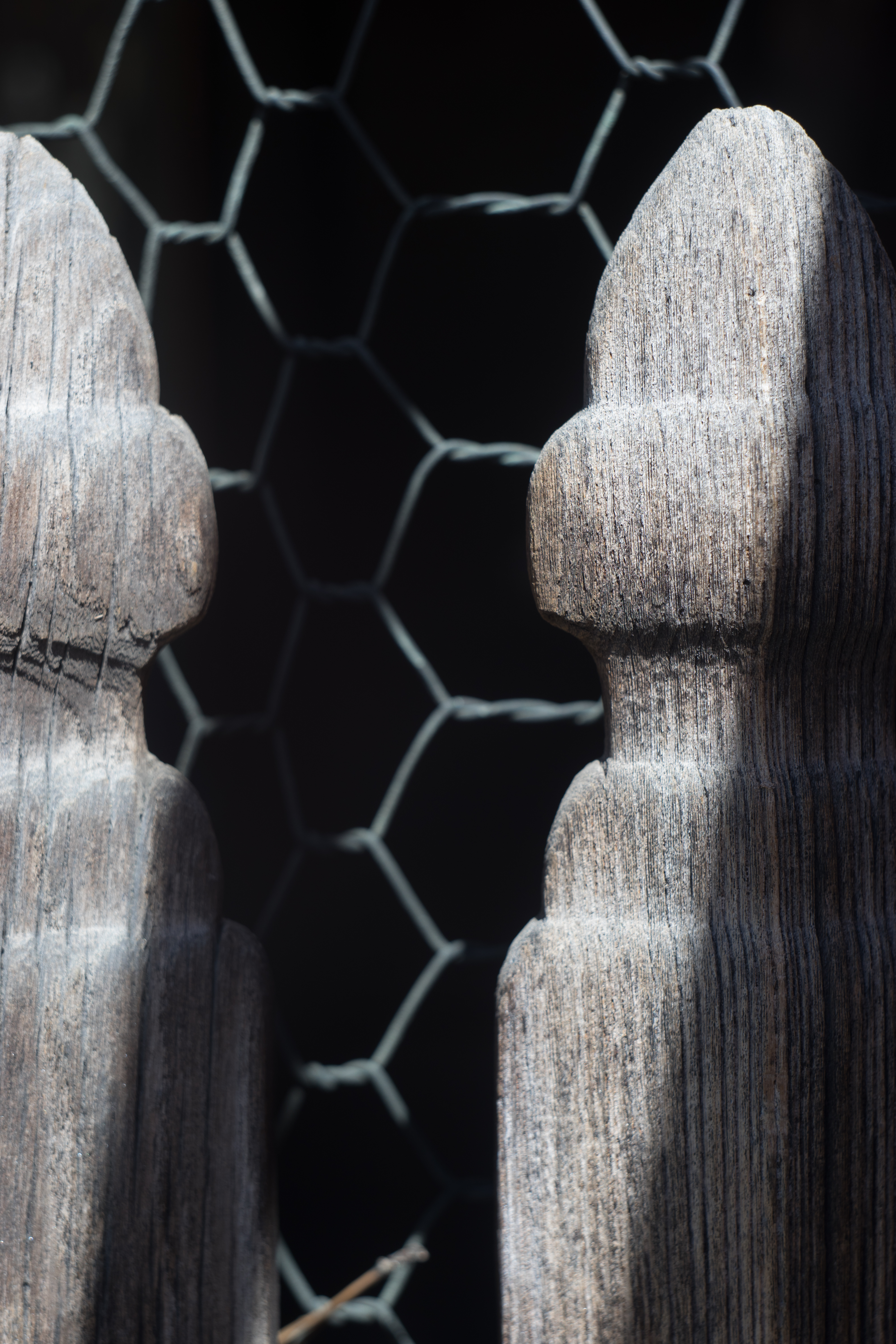 α7 II / Biotar 5.8cm F2 T / 1/160秒 / F5.6 / -0.7EV / ISO100 / WB:オート