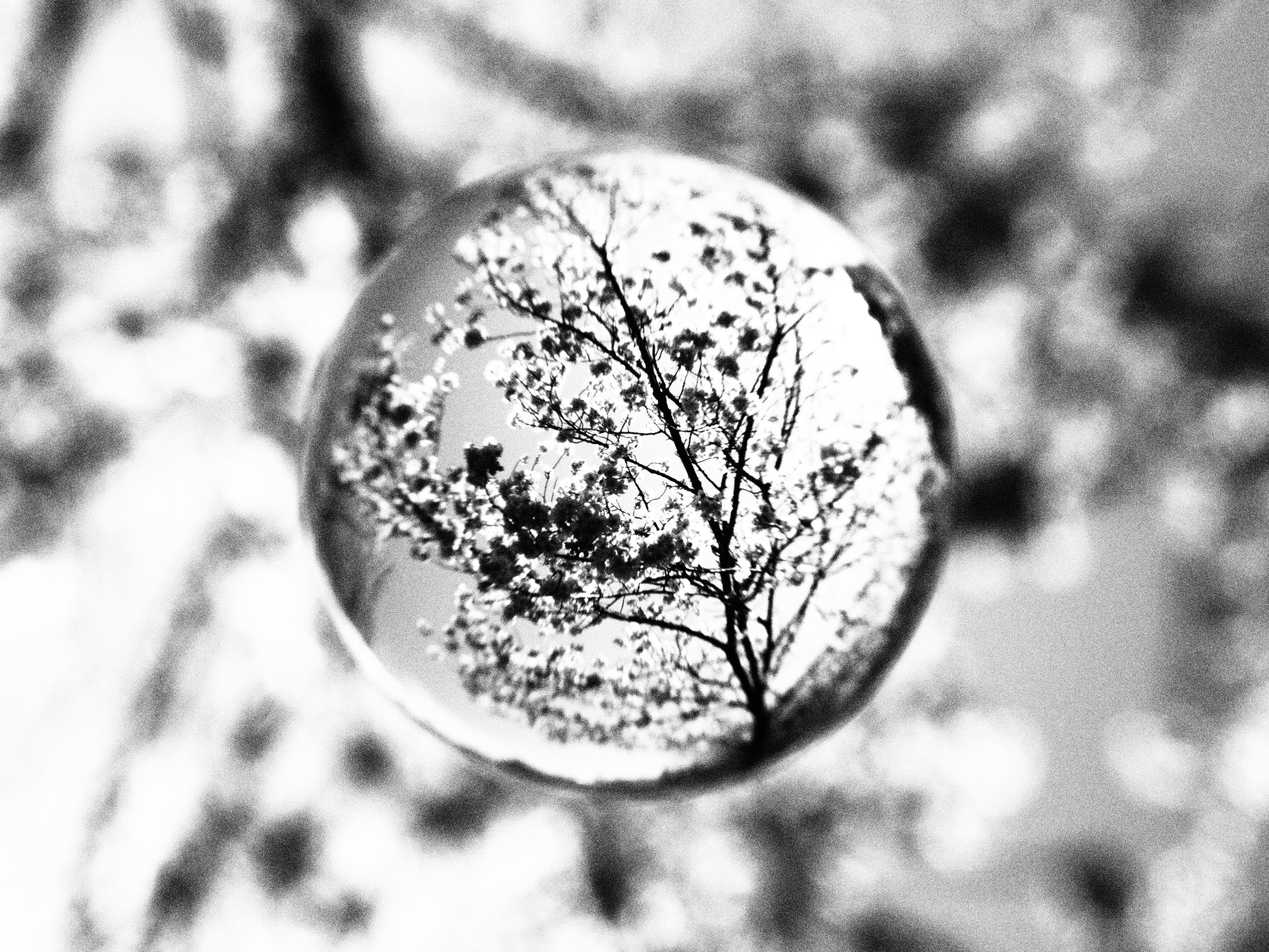 ラフモノクローム