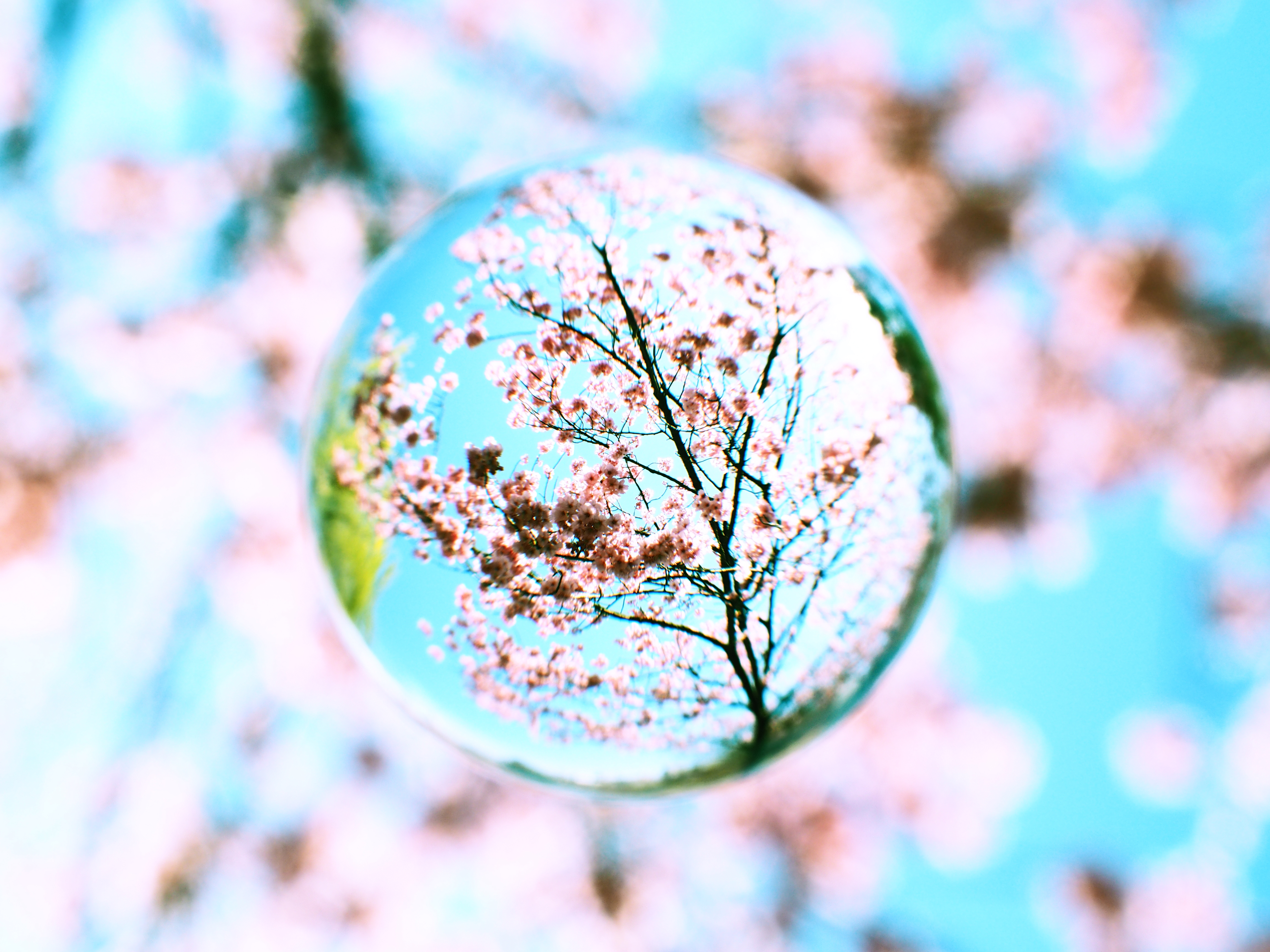 クロスプロセス