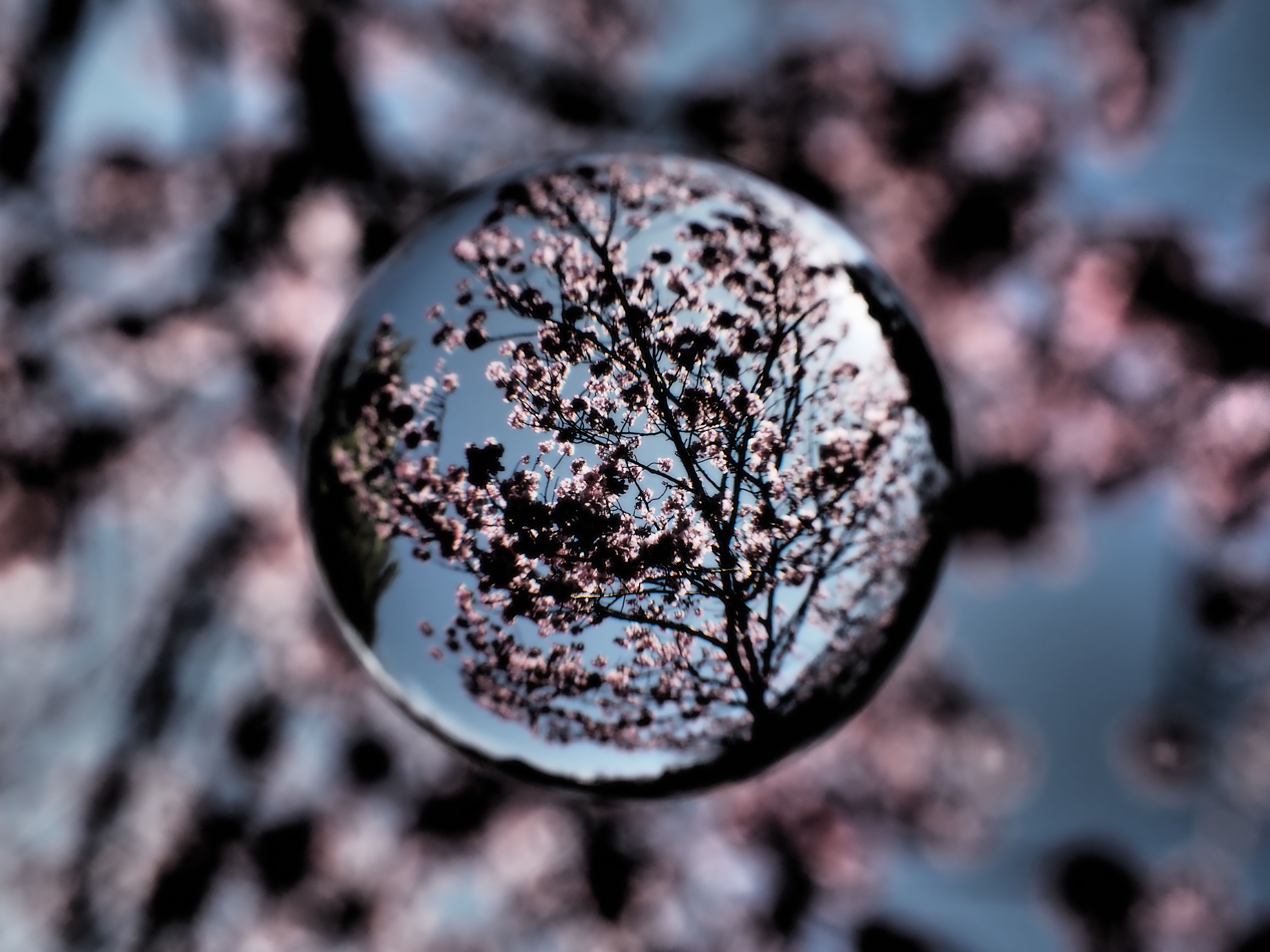 ドラマチックトーン