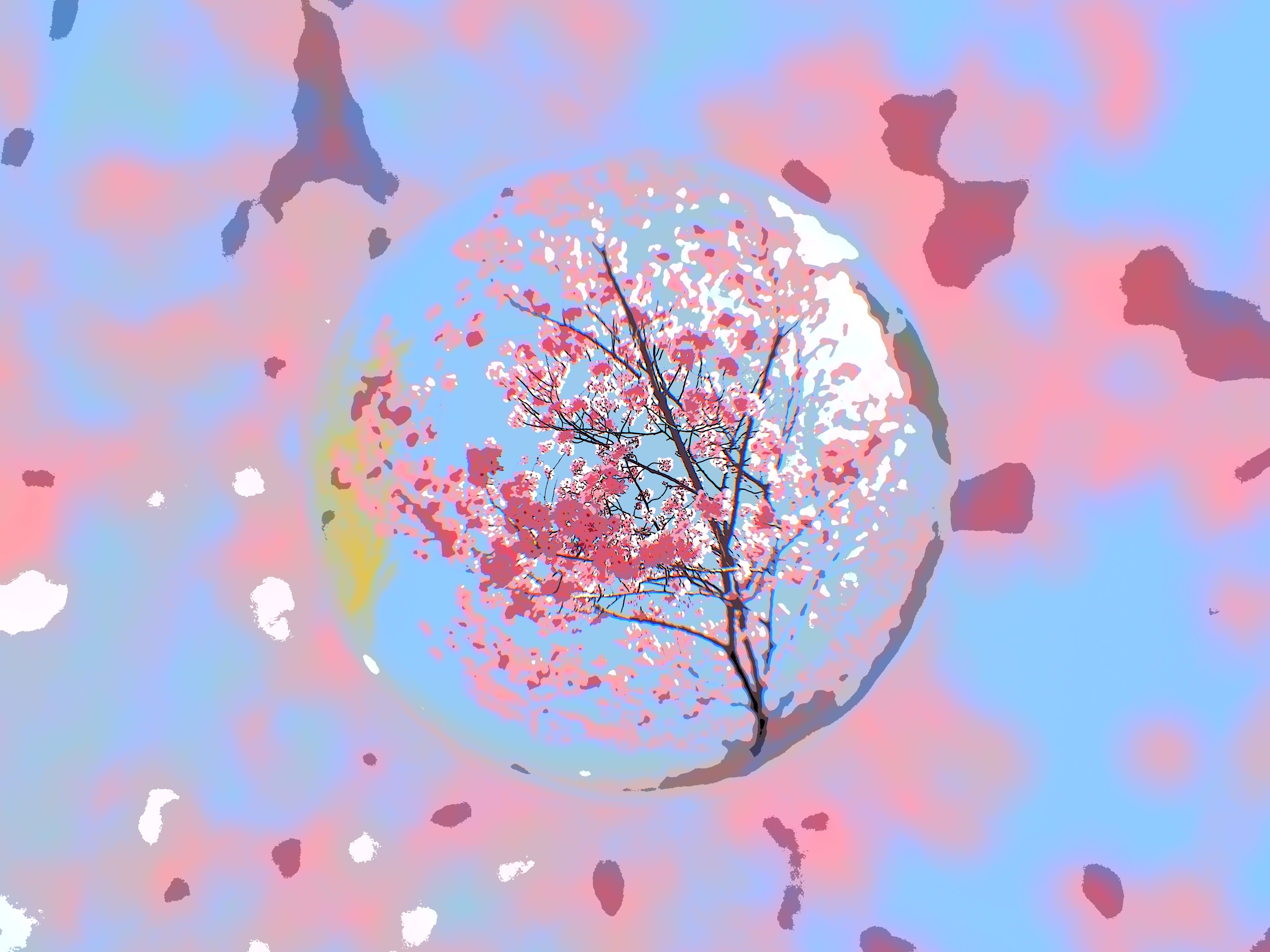 リーニュクレール