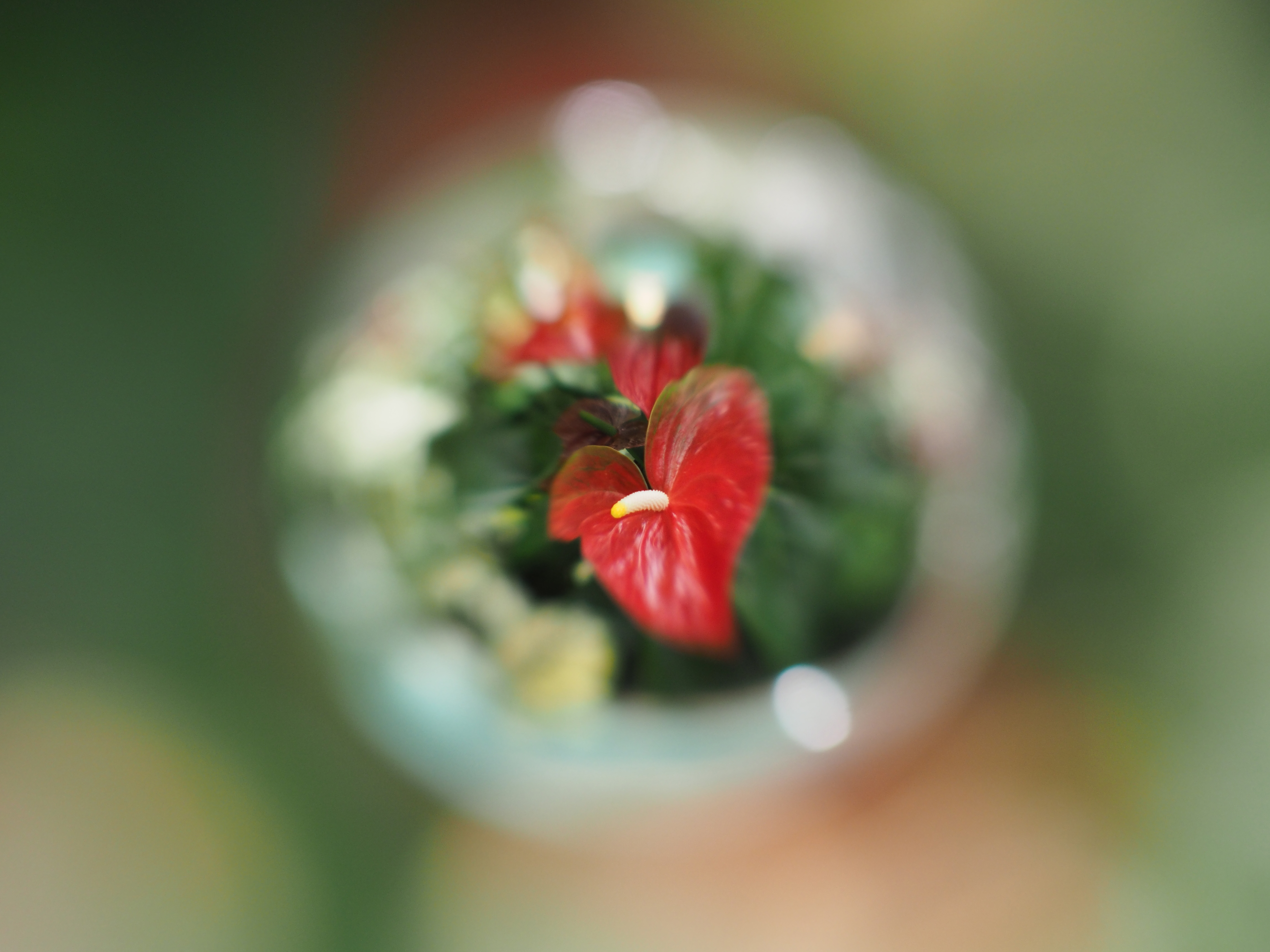 絞り開放だと玉の輪郭がはっきりしない。E-M10 / 1/40秒 / 0EV / ISO400 / プログラム / 17mm