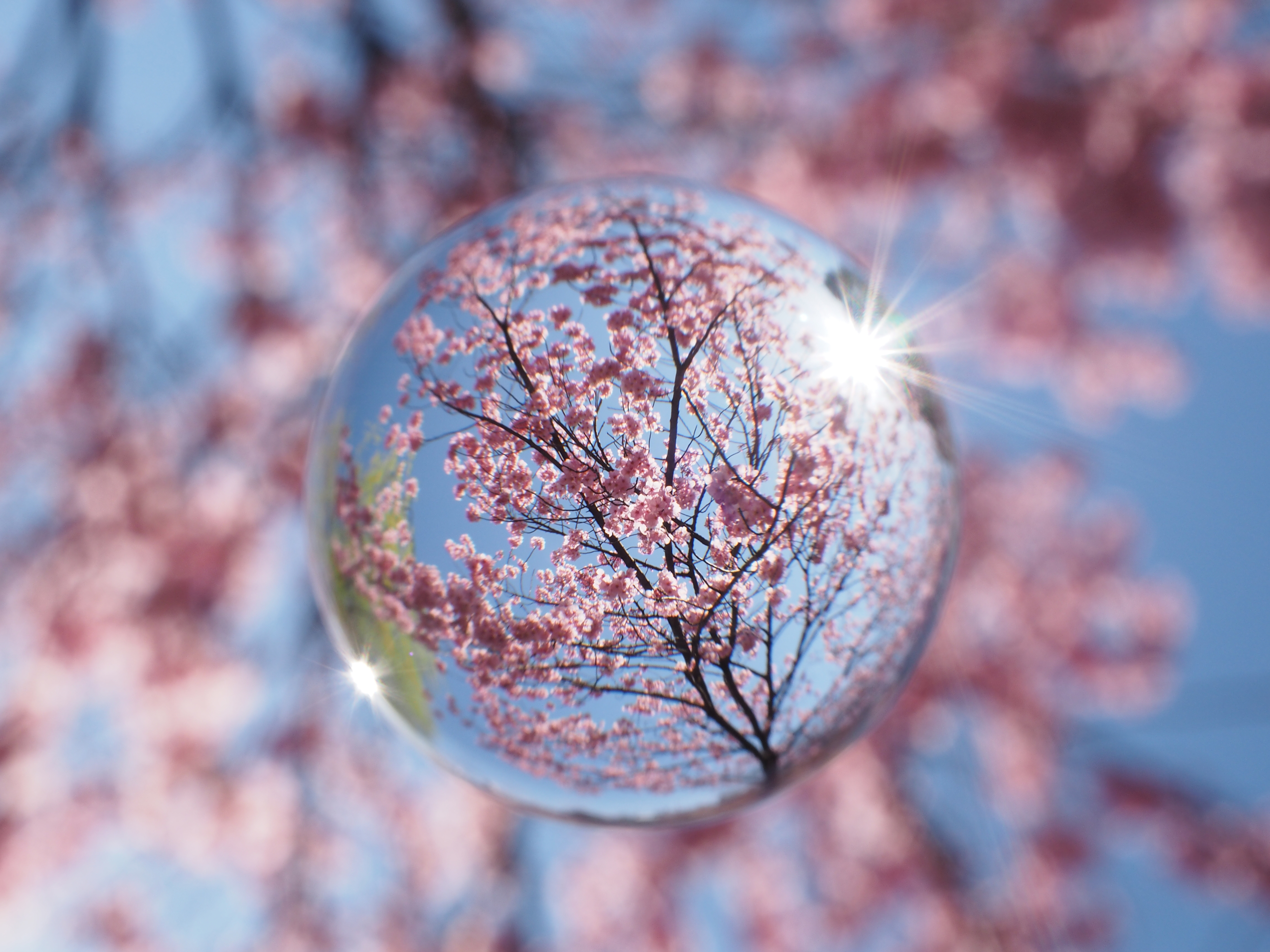 今回の宙玉レンズの作例。E-M10 / 1/100秒 / F13 / +0.7EV / ISO200 / プログラム / 17mm / アートフィルター：OFF（Natural）