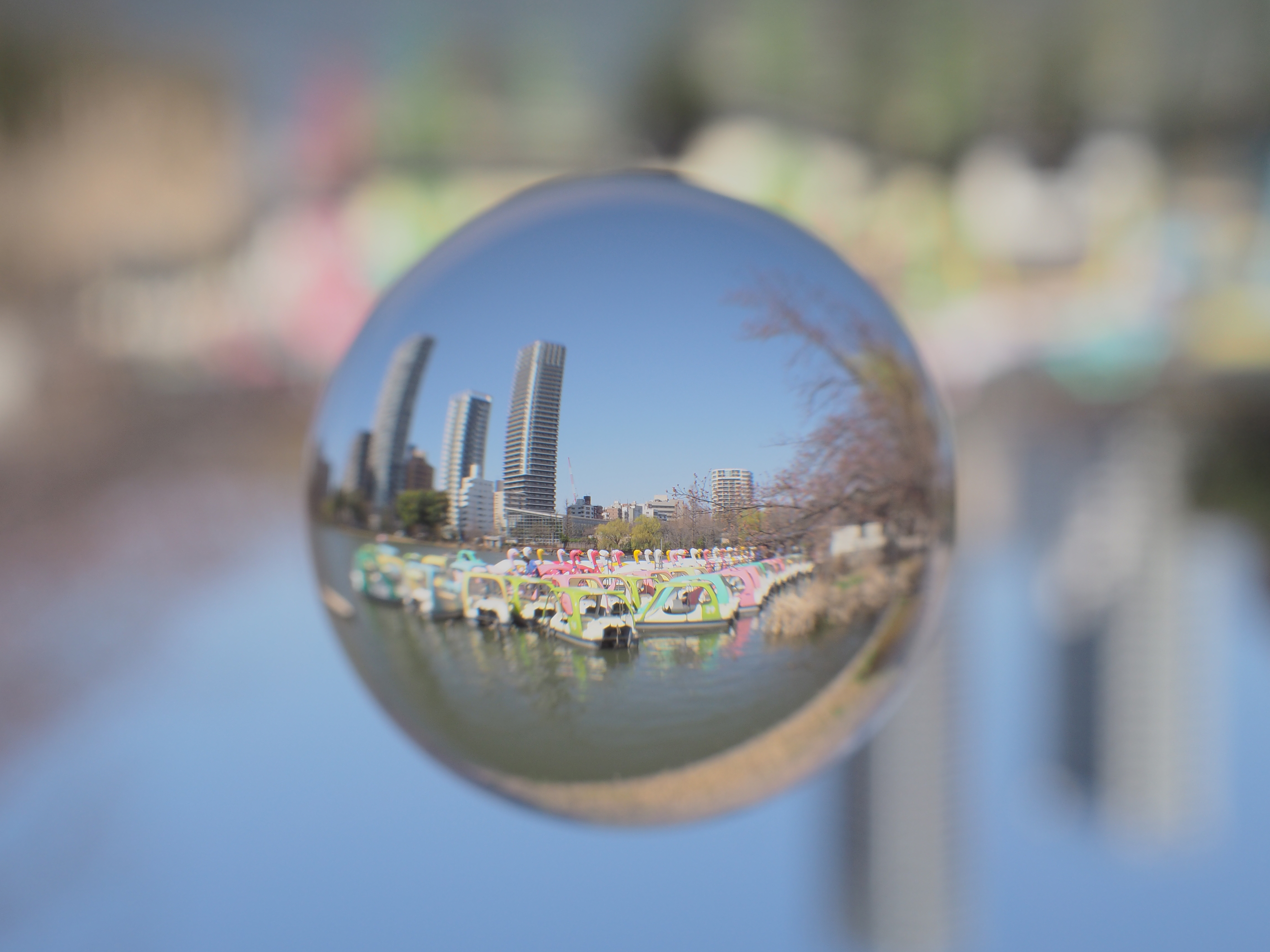 E-M10 / 1/250秒 / F9 / 0EV / ISO200 / プログラム / 17mm / アートフィルター：ライトトーン