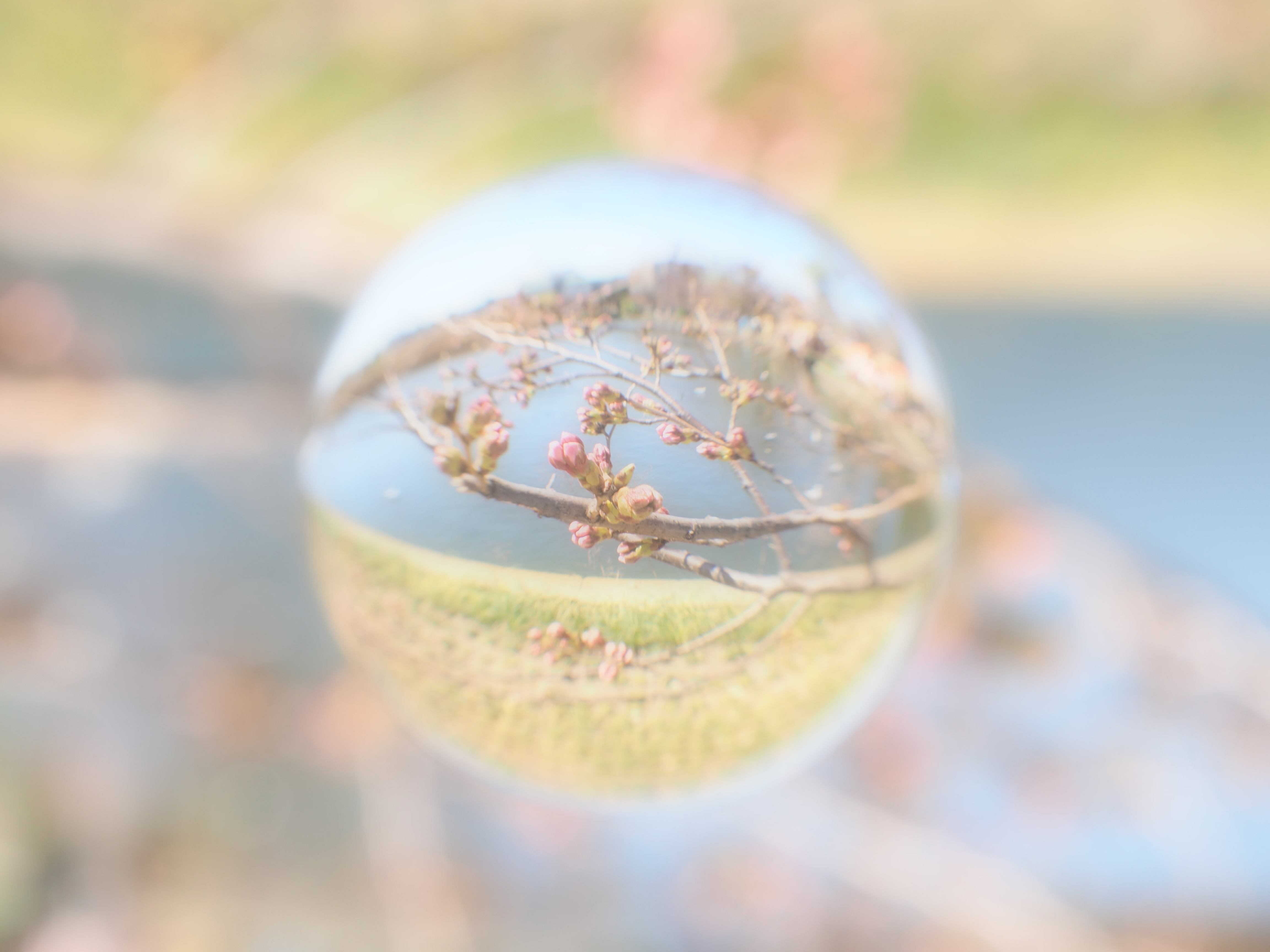 E-M10 / 1/100秒 / F8 / +1EV / ISO200 / プログラム / 17mm / アートフィルター：ファンタジックフォーカス