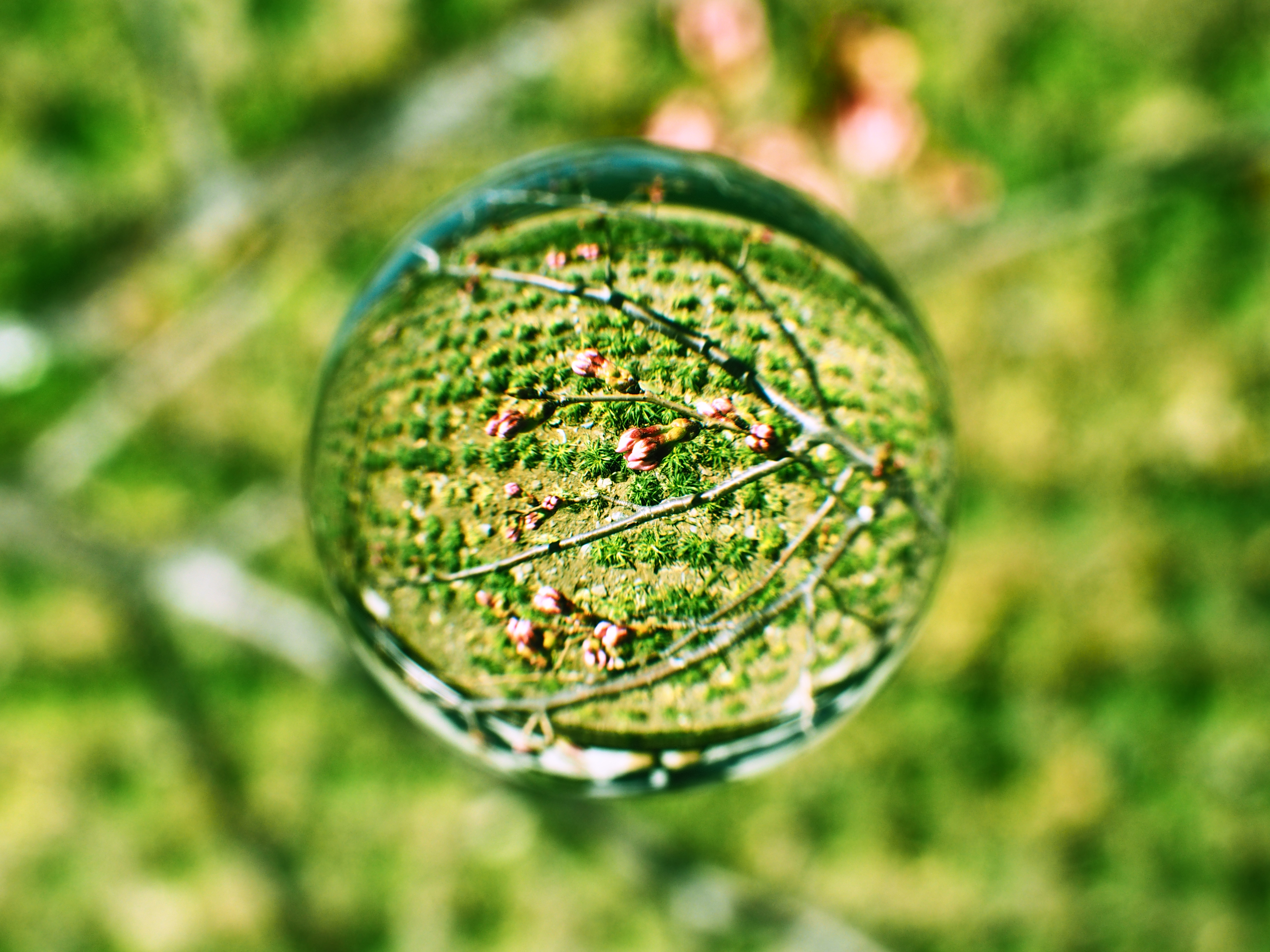 E-M10 / 1/125秒 / F10 / 0EV / ISO200 / プログラム / 17mm / アートフィルター：クロスプロセス