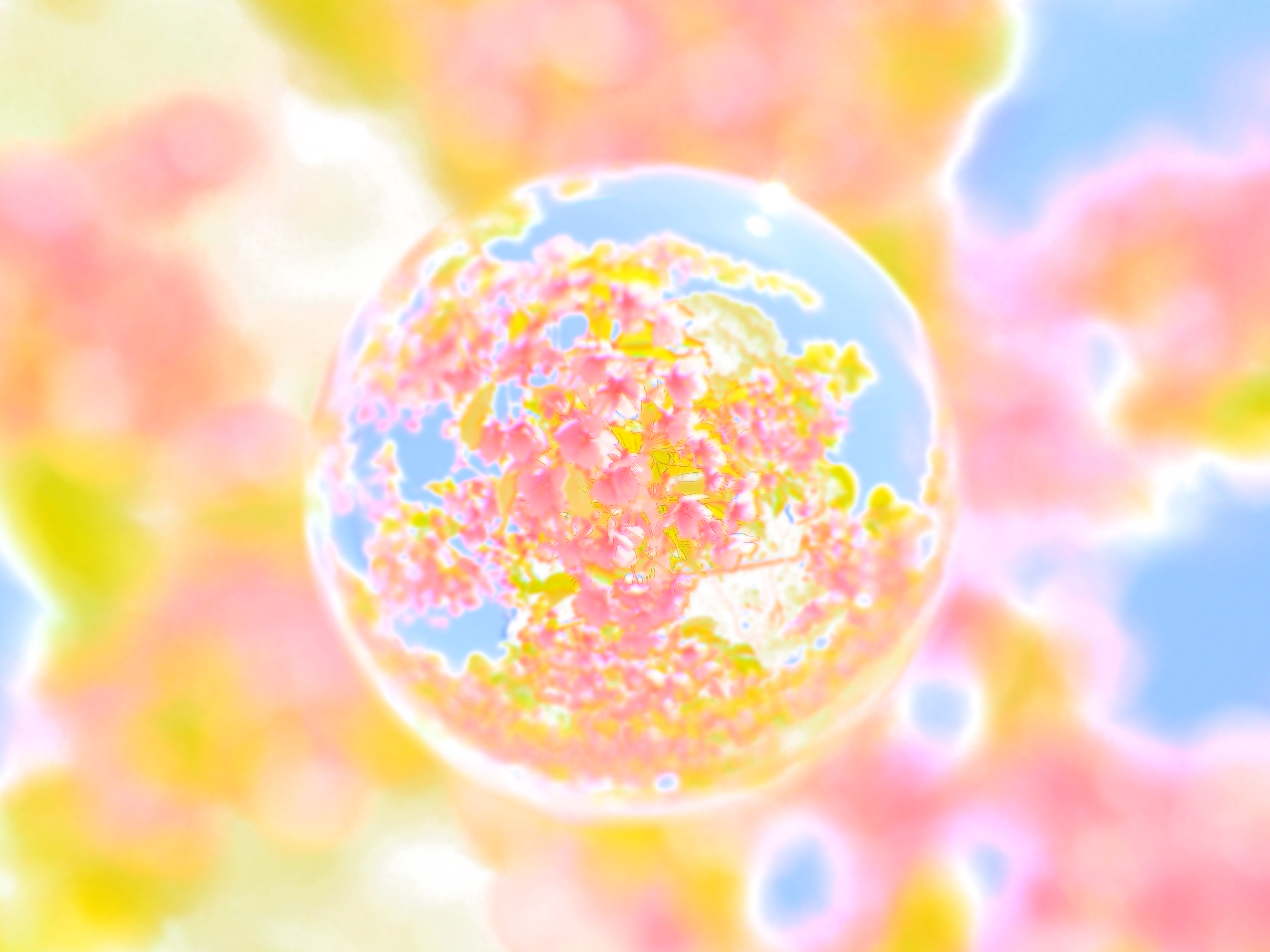 E-M10 / 1/200秒 / F8 / 0EV / ISO200 / プログラム / 17mm / アートフィルター：ウォーターカラー