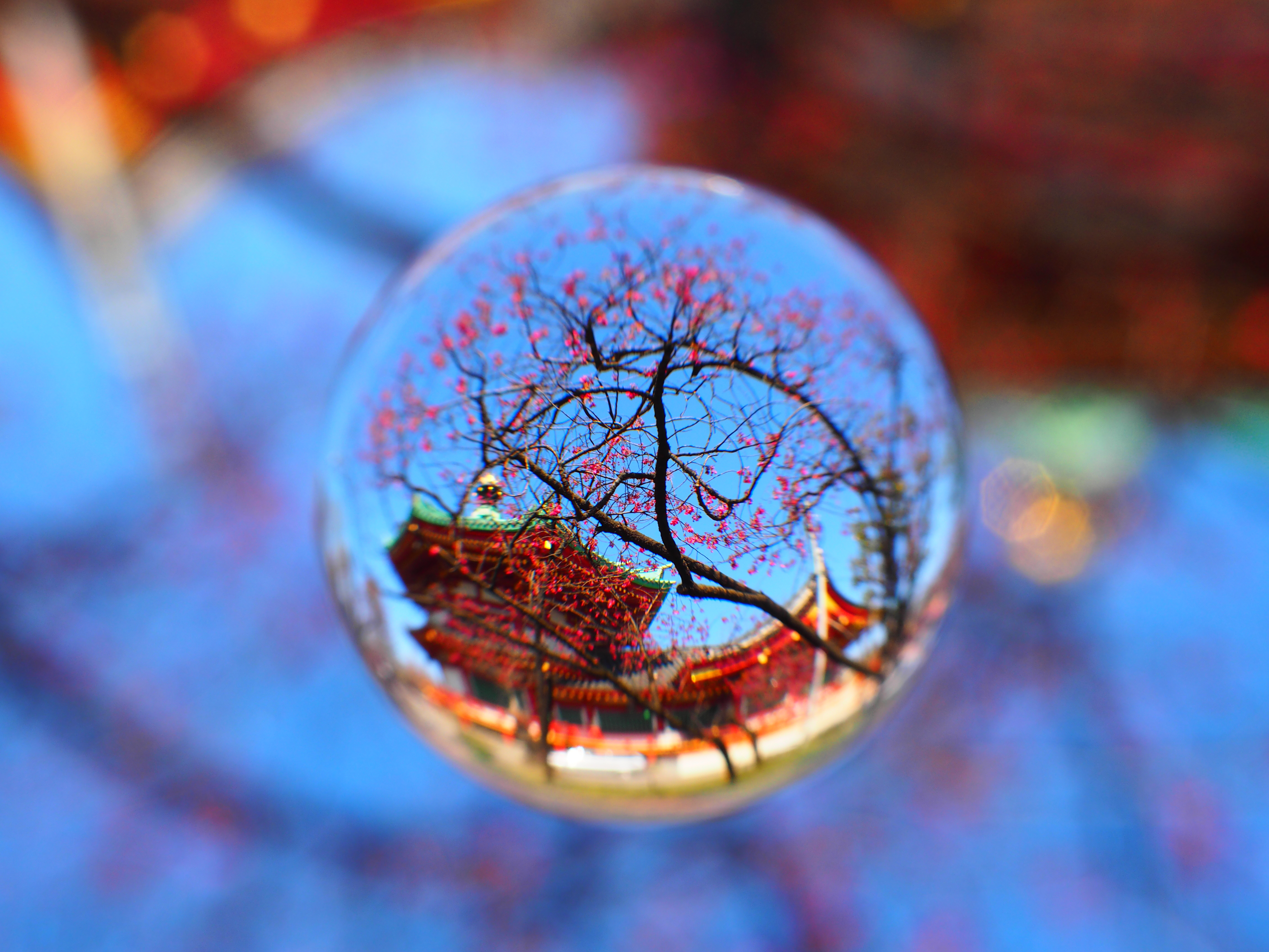 E-M10 / 1/160秒 / F9 / 0EV / ISO200 / プログラム / 17mm / アートフィルター：ポップアート