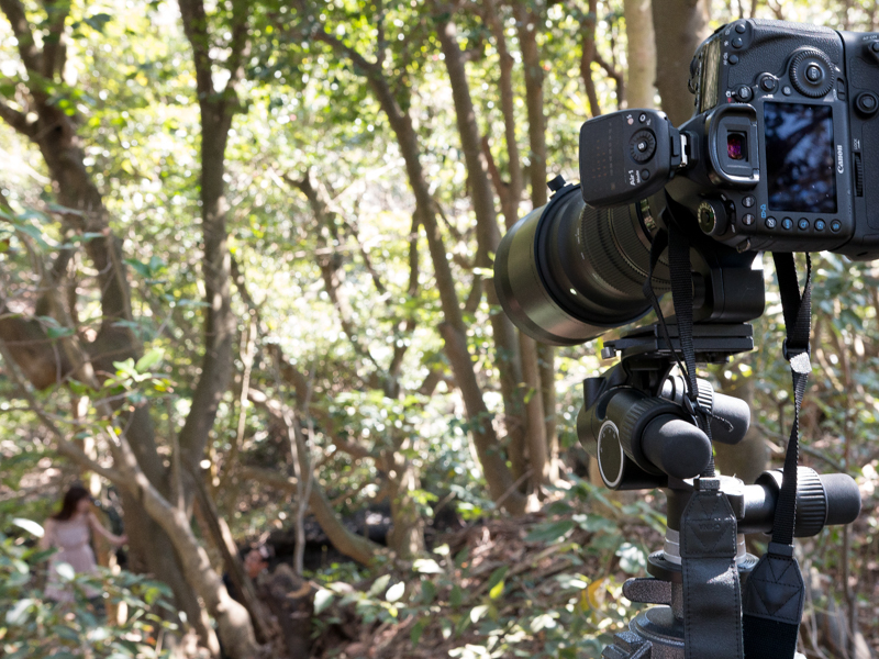 森の中にひとり佇むモデルを離れた位置から300mmで撮影。