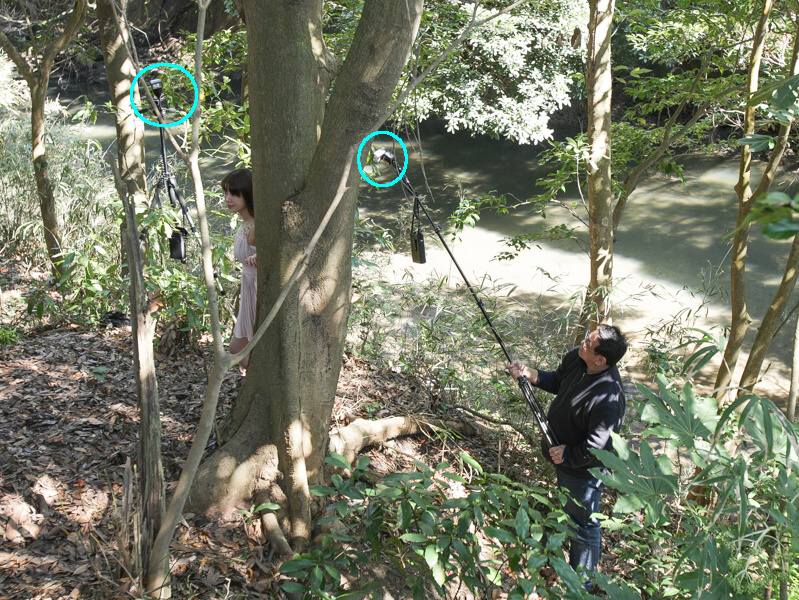 メインライトとしてモデルの左横の位置からスタンドに取付けたDi700Aを直射。さらにモデルの右上後方からポールの先端に取付けたDi700Aを24mmのワイドズームにし、高い位置からモデルを照らす。この2灯で森に差込む太陽のキラキラした光を表現。