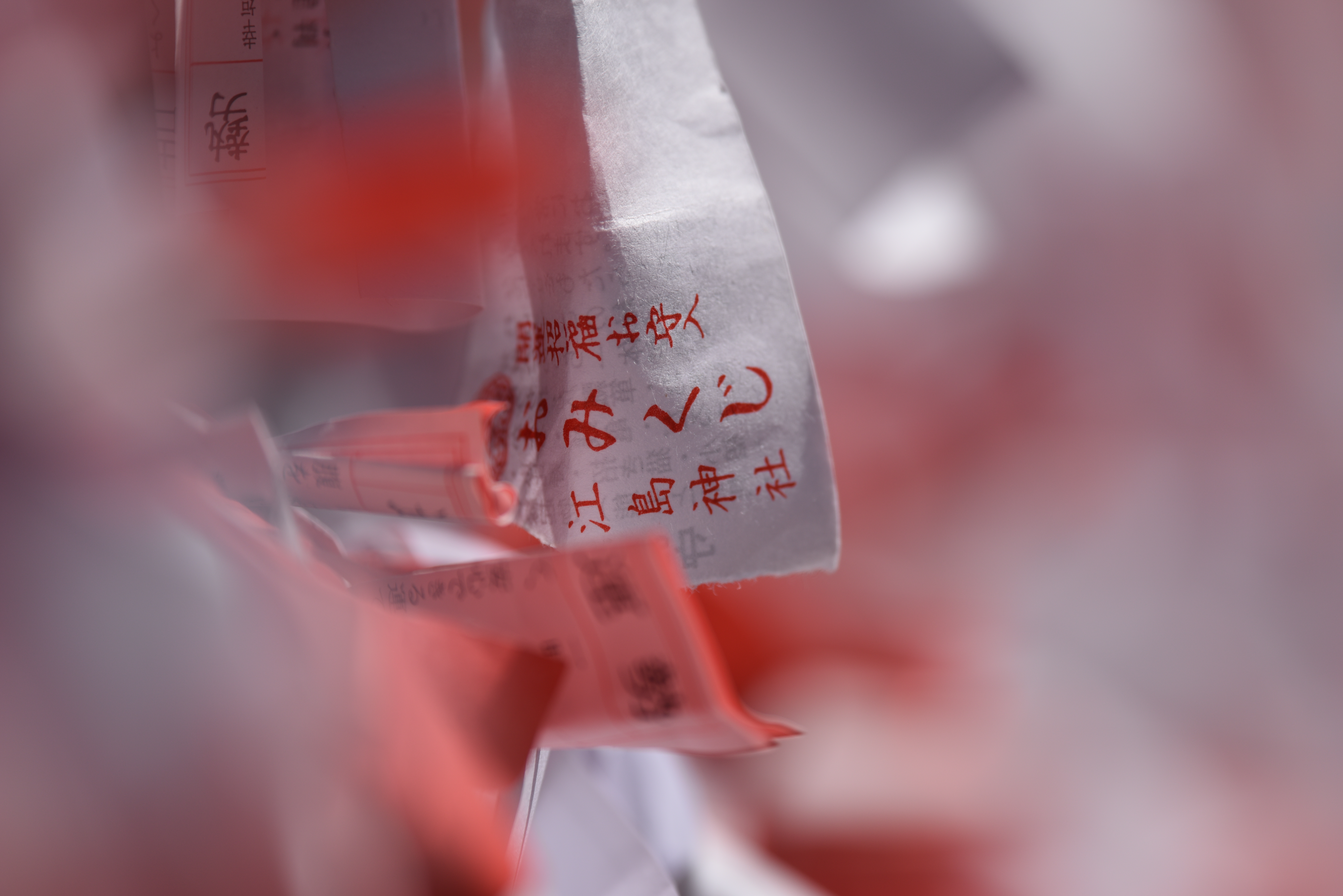 D810 / 1/2,000秒 / F4 / 0EV / ISO100 / 絞り優先AE / 300mm