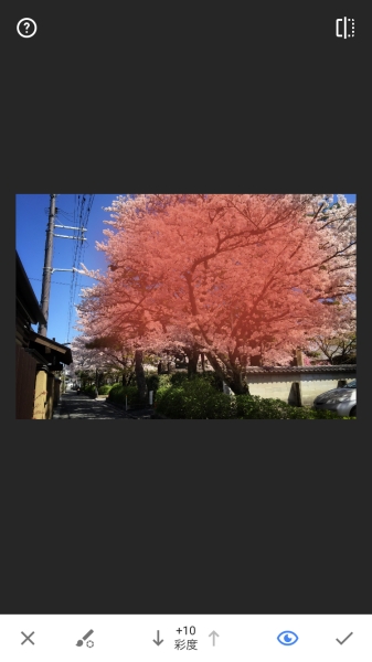 ブラシの適用範囲を表示したところ