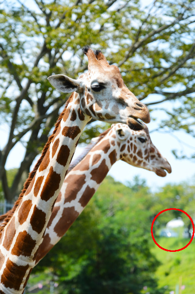 <strong class="">数m動いただけでも雰囲気は変わります</strong><br class="">この場合は右に動いて解消!