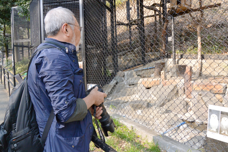 <strong class="">1：金網の前に立つ</strong><br class="">金網の前に立って動物がどこにいるかを確認する。金網のすぐ近くにいる場合は消せないので動くまで待とう