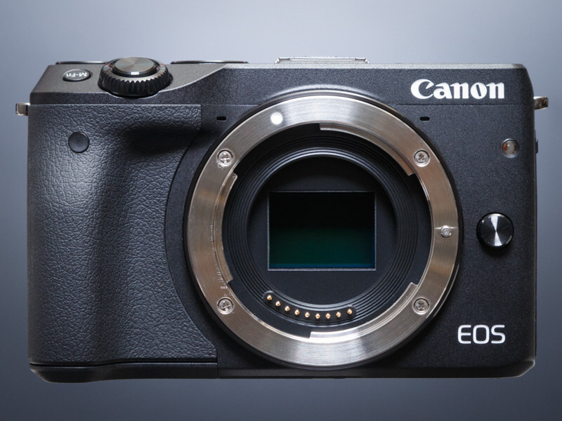 グリップ部の凹凸が大きくなり、よりしっかりと構えられるようになった