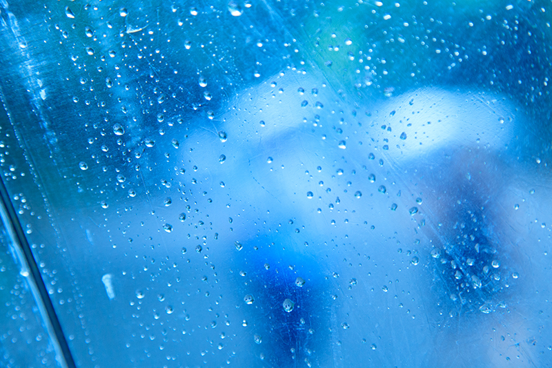 キヤノン EOS 5D Mark II / EF24-105mmF4L IS USM / 105mm / 絞り優先AE（<b class="">F4</b>、1/80秒） / ISO500 / WB:白色蛍光灯（G5） / 時間:12時 / <b class="">ピクチャースタイル:風景</b> / <b class="">天気:雨</b>