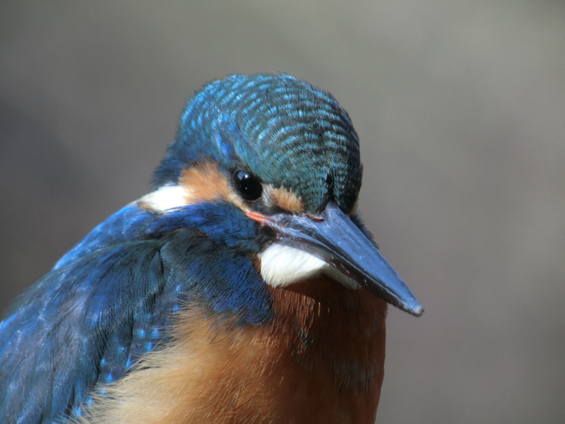 撮影イメージ（プレスリリースより）