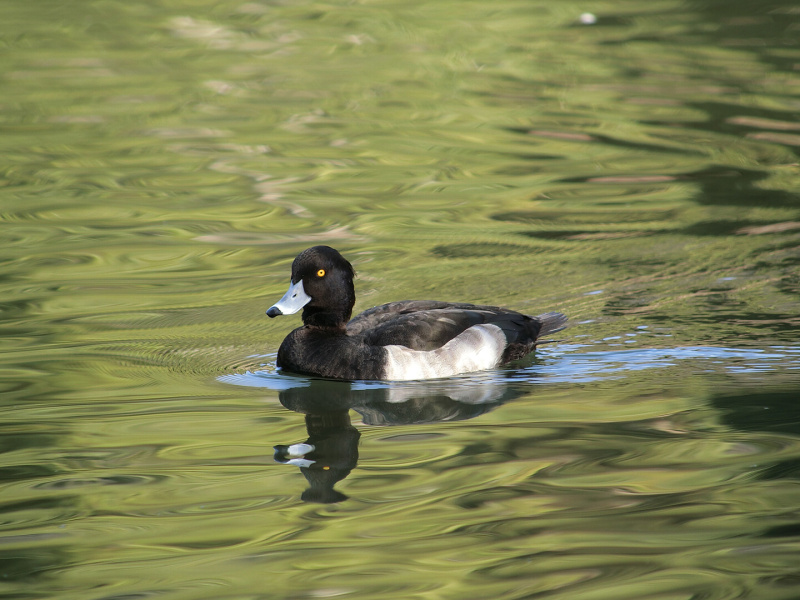 撮影イメージ（プレスリリースより）
