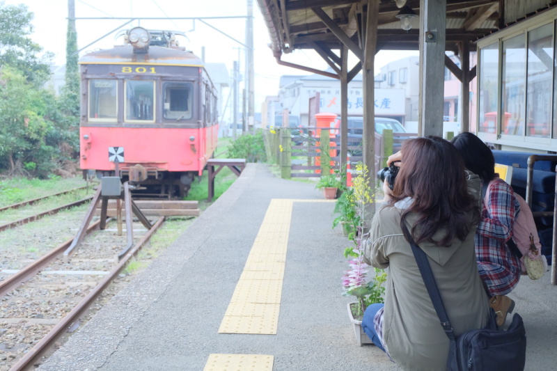 外川駅ホームから菜の花の前ボケにして休車となったデハ801を撮影。