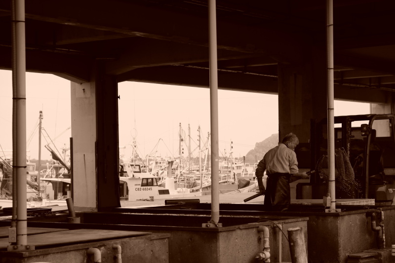 照井さん。「雨がパラつくあいにくのお天気でしたが、雨の日コースを考えて下さっていたおかげもあり、楽しく過ごすことができました。かわいい電車も漁港も撮影できて、遠足気分を存分に味わえました」