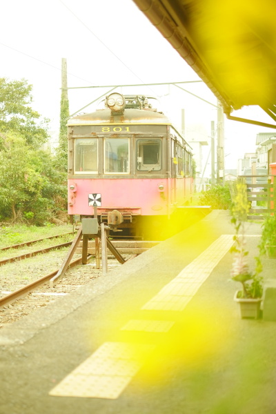 撮影：きょん♪さん。「レトロな車両と小さな駅のプラットホームを、ふんわり菜の花と一緒に。季節の花を入れると旅した時期が伝わりますよね」