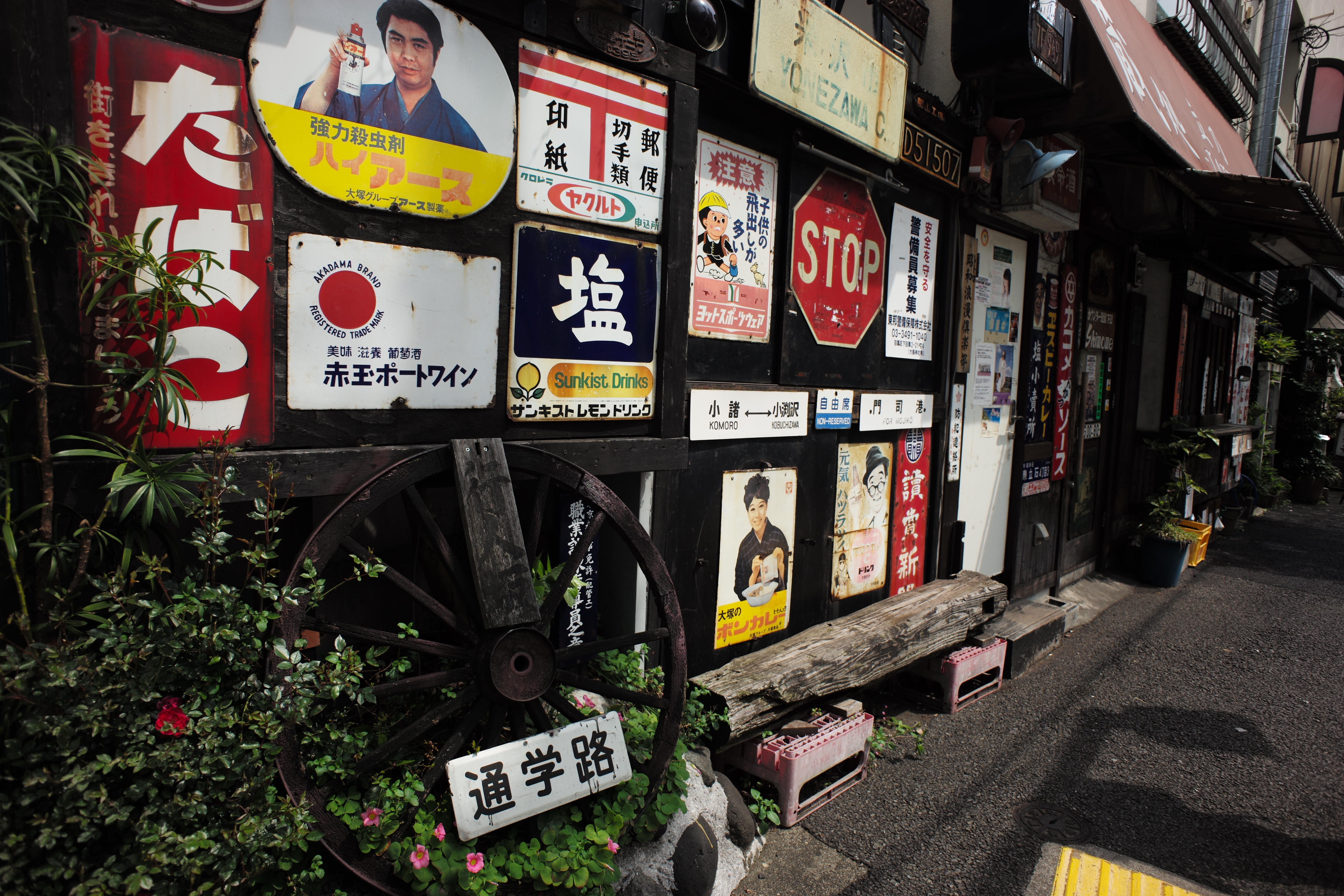 ISO200 / F5.6 / 1/500秒 / -0.3EV