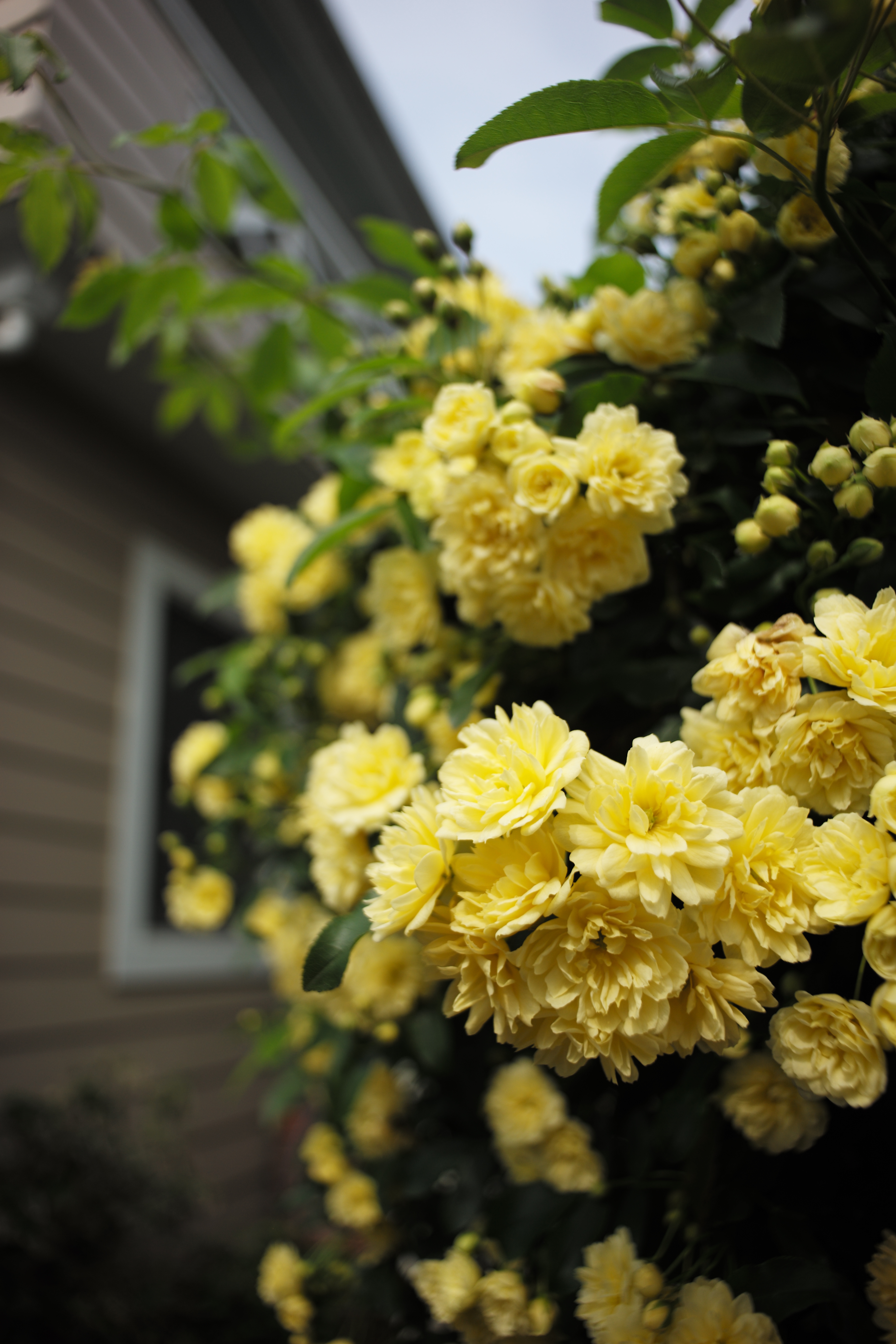 ISO200 / F4 / 1/750秒 / ±0EV