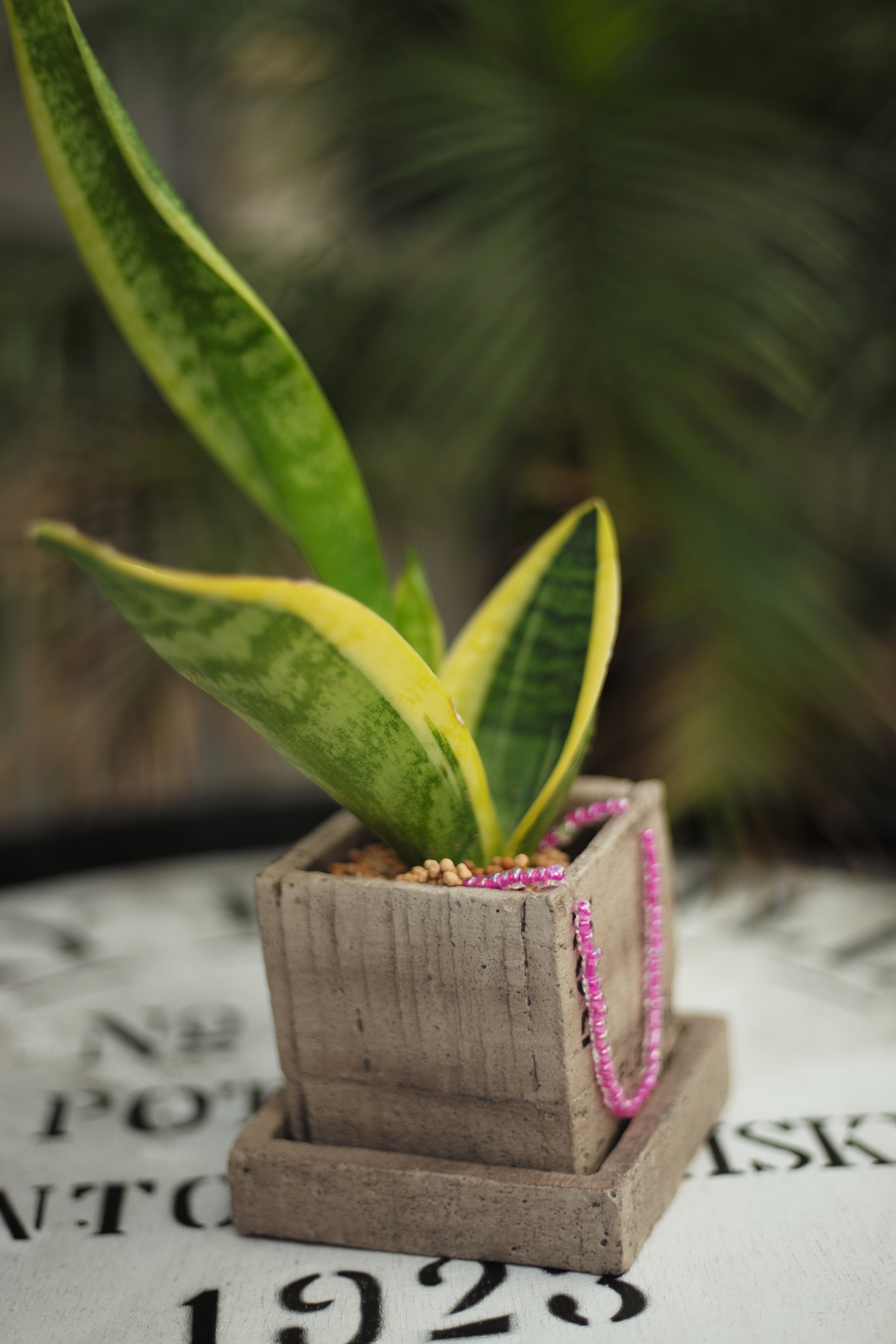 ISO200 / F2 / 1/750秒 / -0.7EV