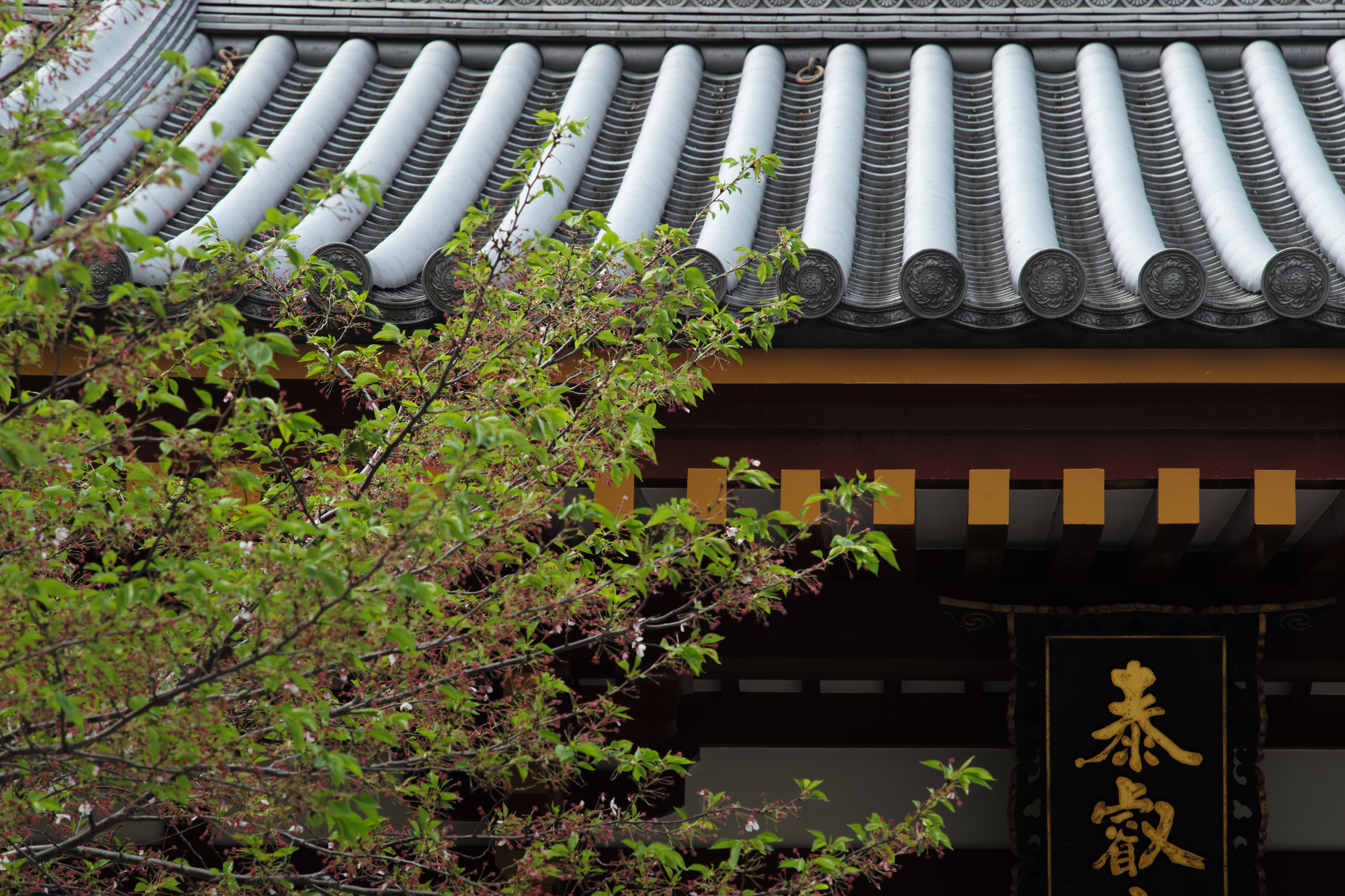 ISO200 / F8 / 1/180秒 / -0.7EV